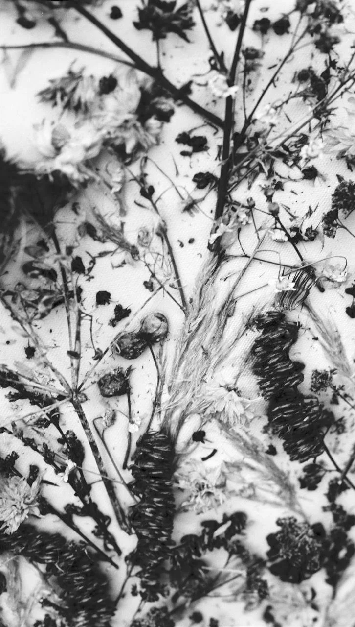 WhatsApp Image 2026-03-09 at 23.31.42.jpeg