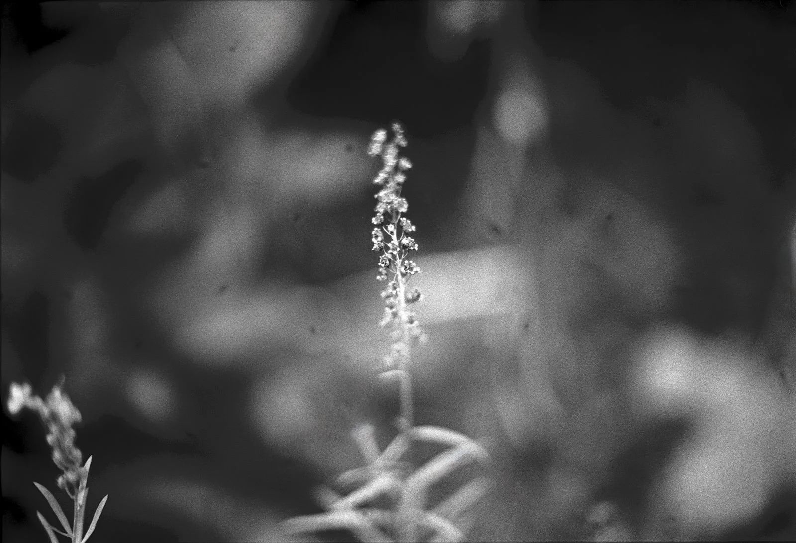 WhatsApp Image 2026-03-09 at 23.32.04.jpeg