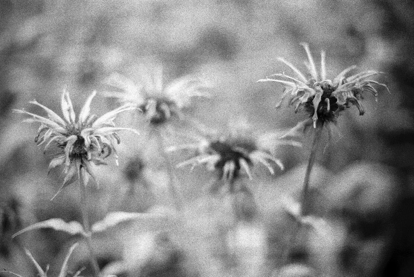 WhatsApp Image 2026-03-09 at 23.32.24.jpeg