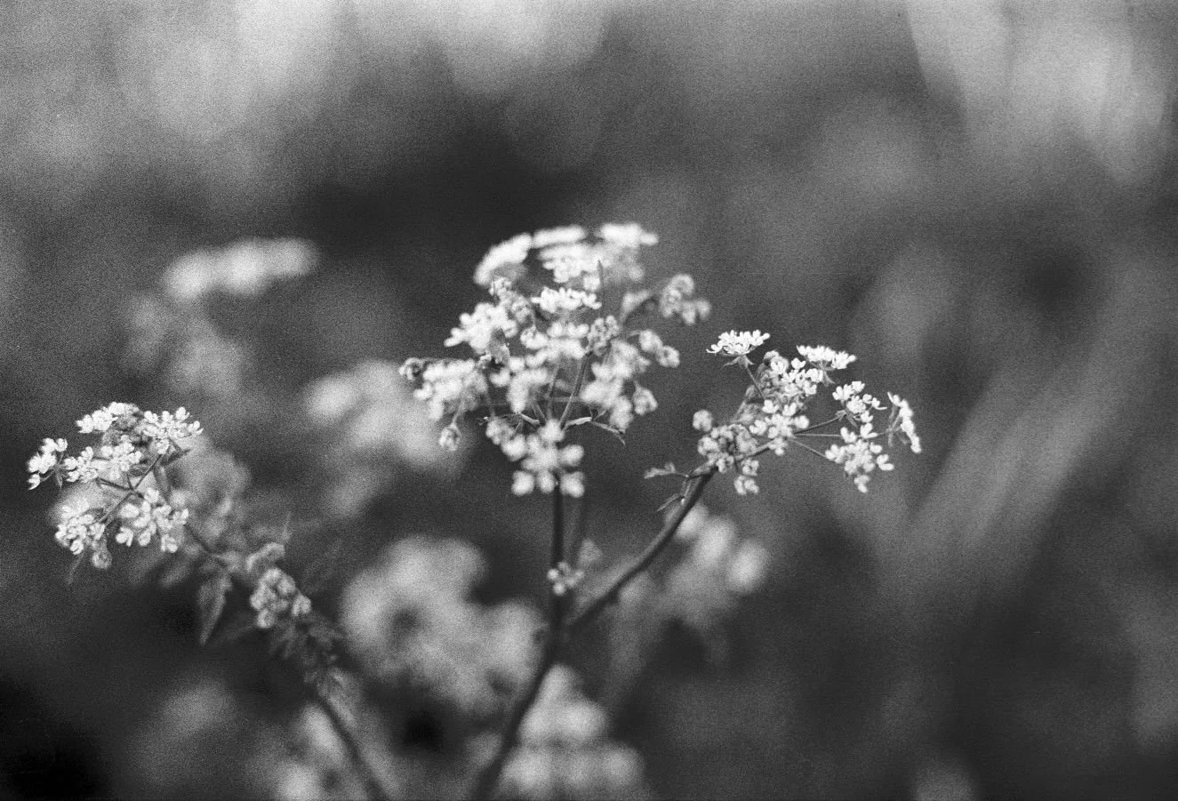 WhatsApp Image 2026-03-09 at 23.32.05.jpeg