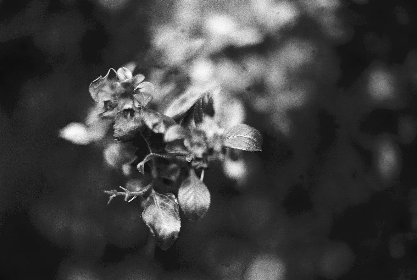 WhatsApp Image 2026-03-09 at 23.32.05.jpeg