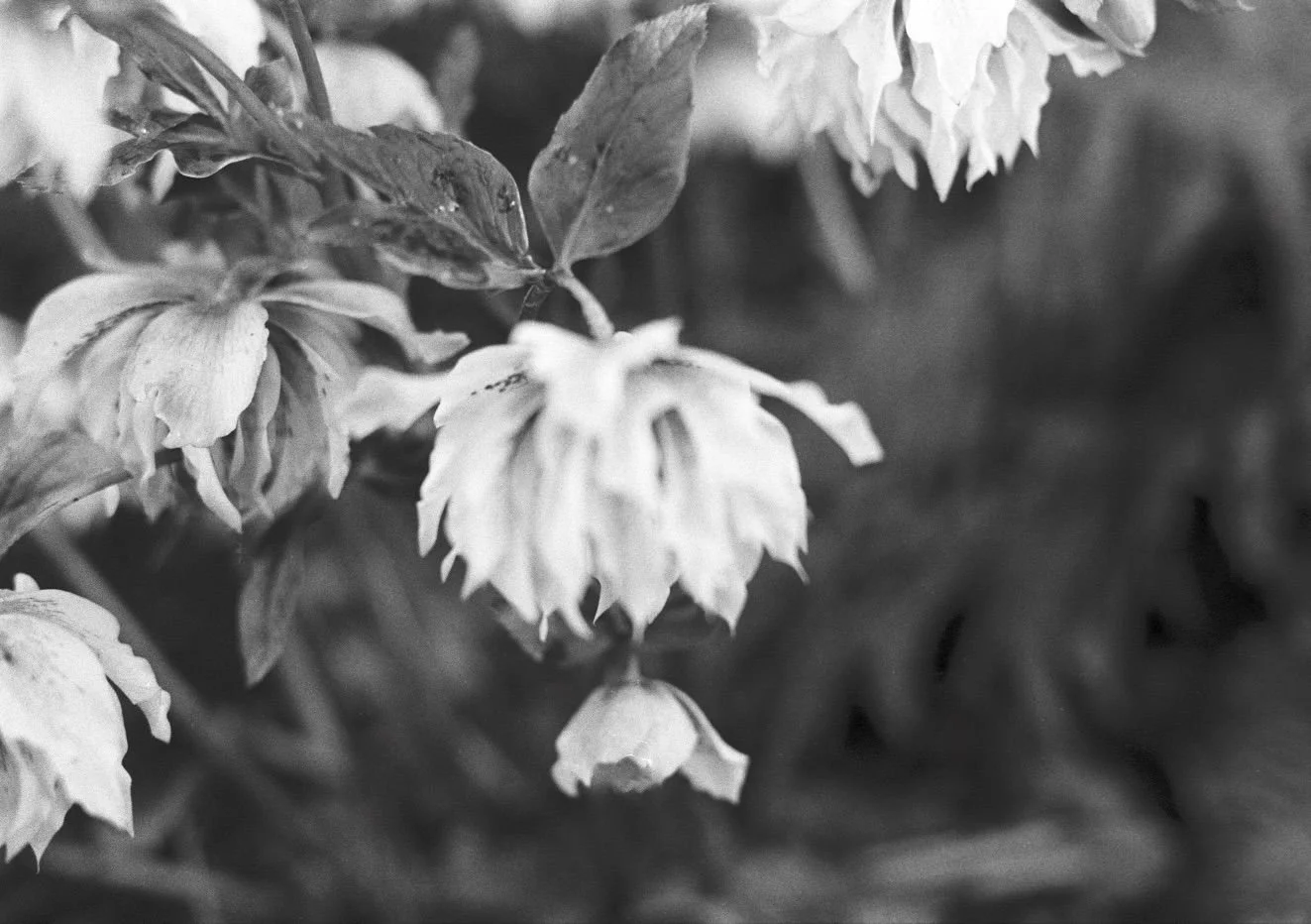 WhatsApp Image 2026-03-09 at 23.32.05.jpeg