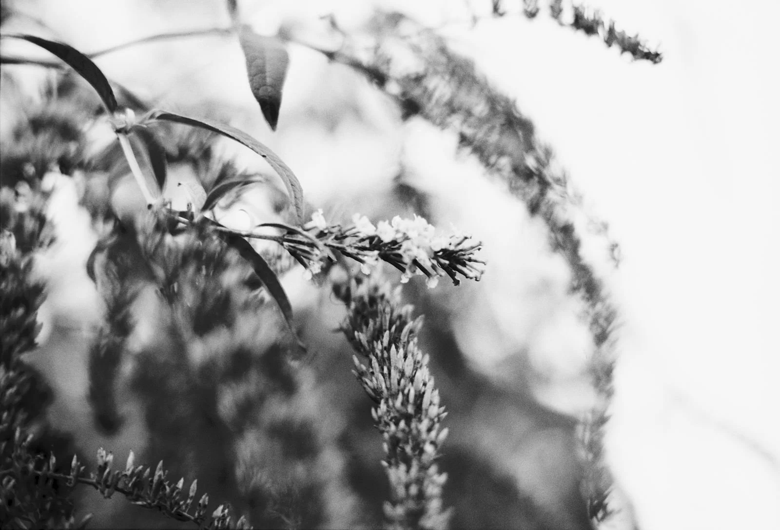 WhatsApp Image 2026-03-09 at 23.32.24.jpeg