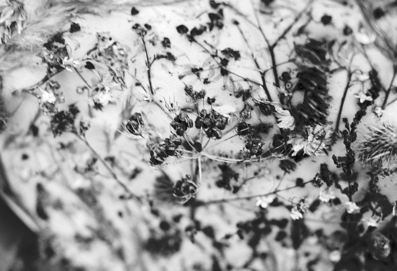 WhatsApp Image 2026-03-09 at 23.31.42.jpeg