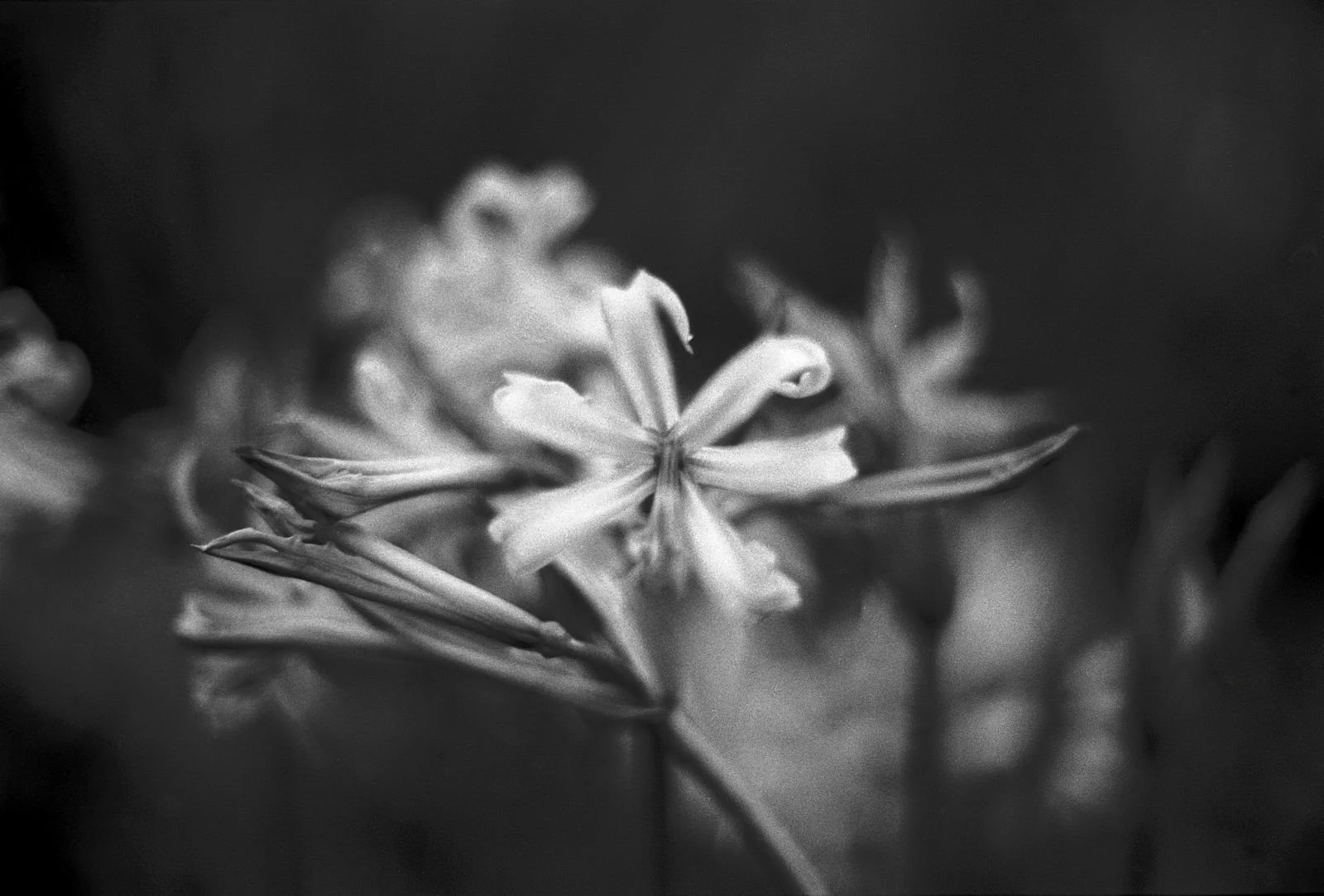 WhatsApp Image 2026-03-09 at 23.32.04.jpeg