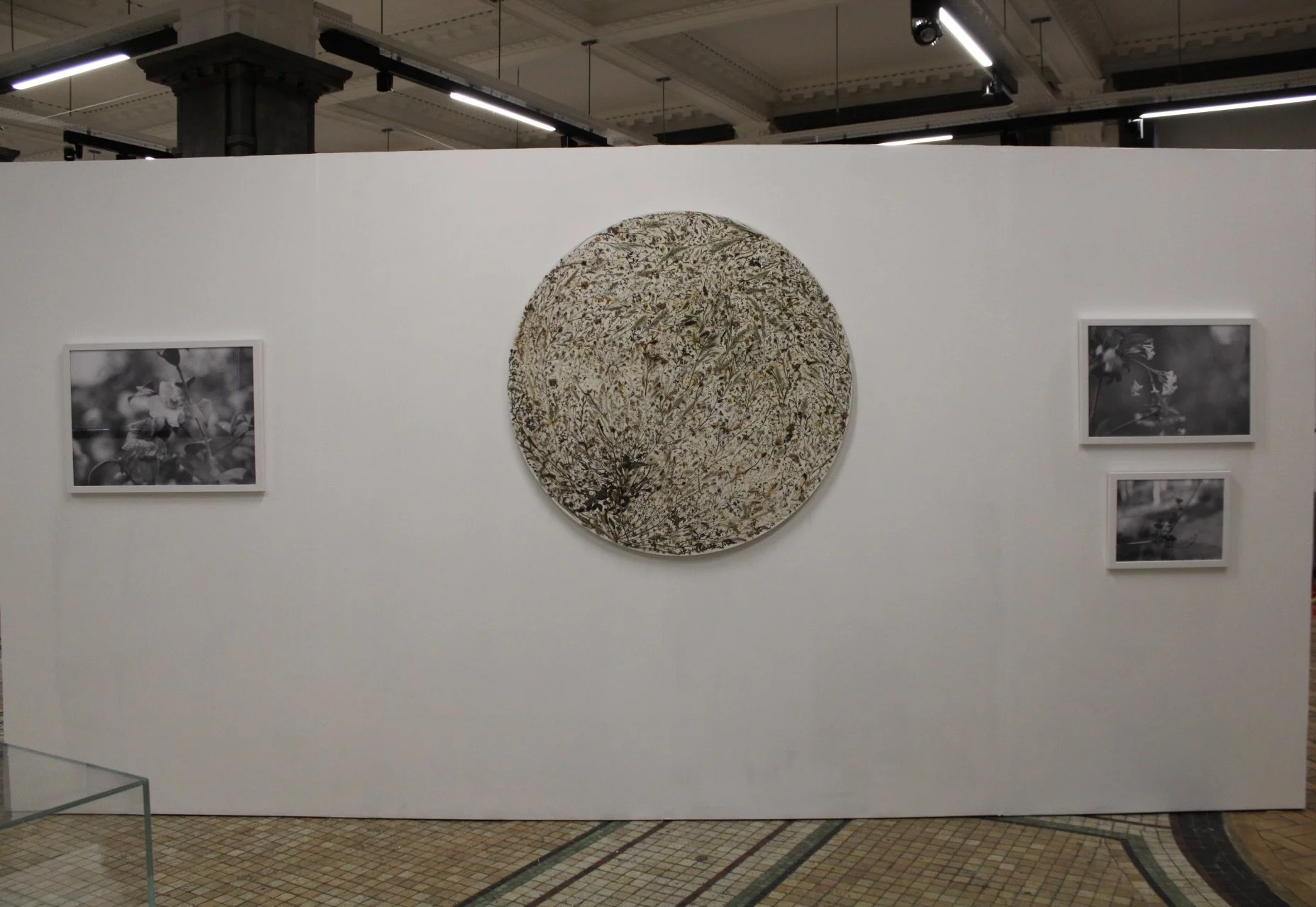 'Where the Weeds Grow' Installation 