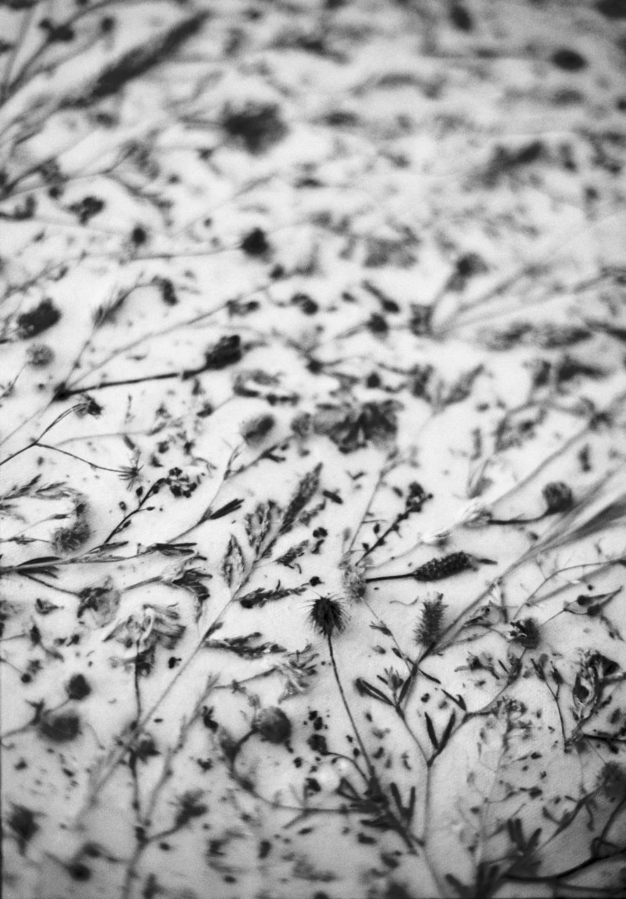 WhatsApp Image 2026-03-09 at 23.31.42.jpeg