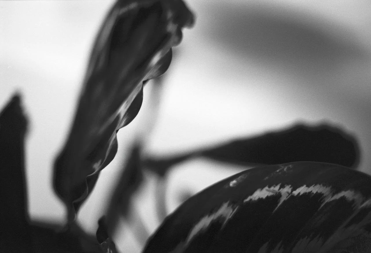 WhatsApp Image 2026-03-09 at 10.49.32.jpeg