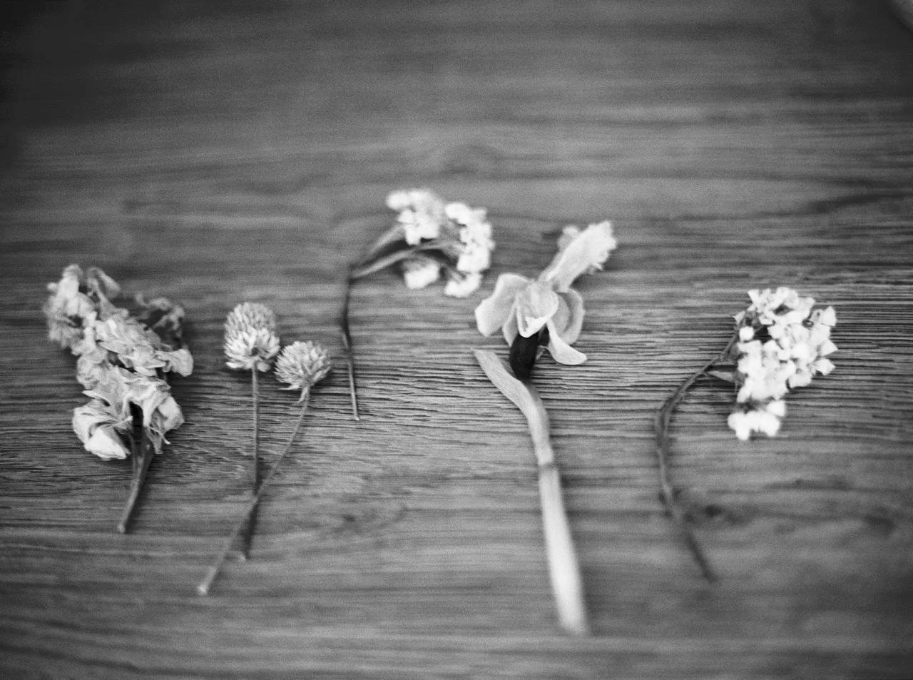 WhatsApp Image 2026-03-09 at 16.03.30.jpeg