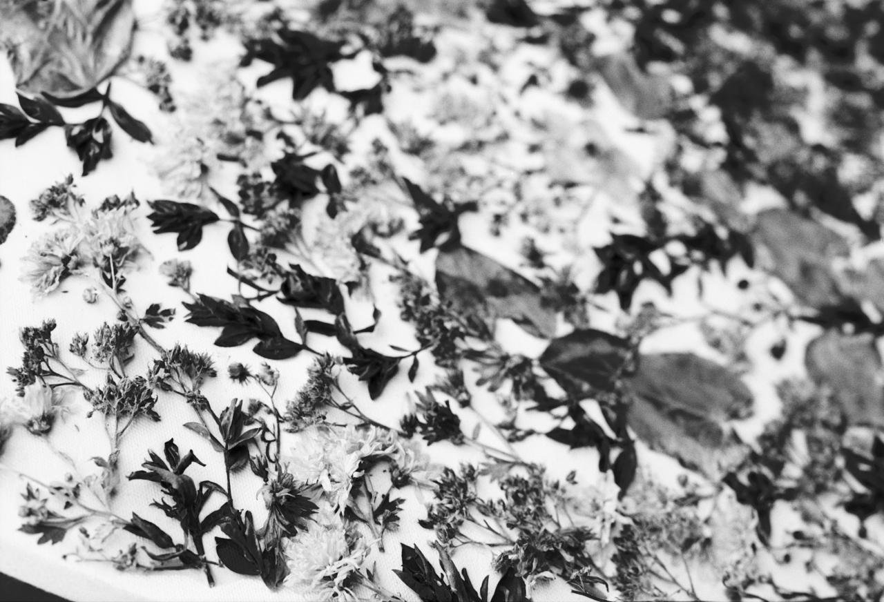 WhatsApp Image 2026-03-09 at 23.31.41.jpeg