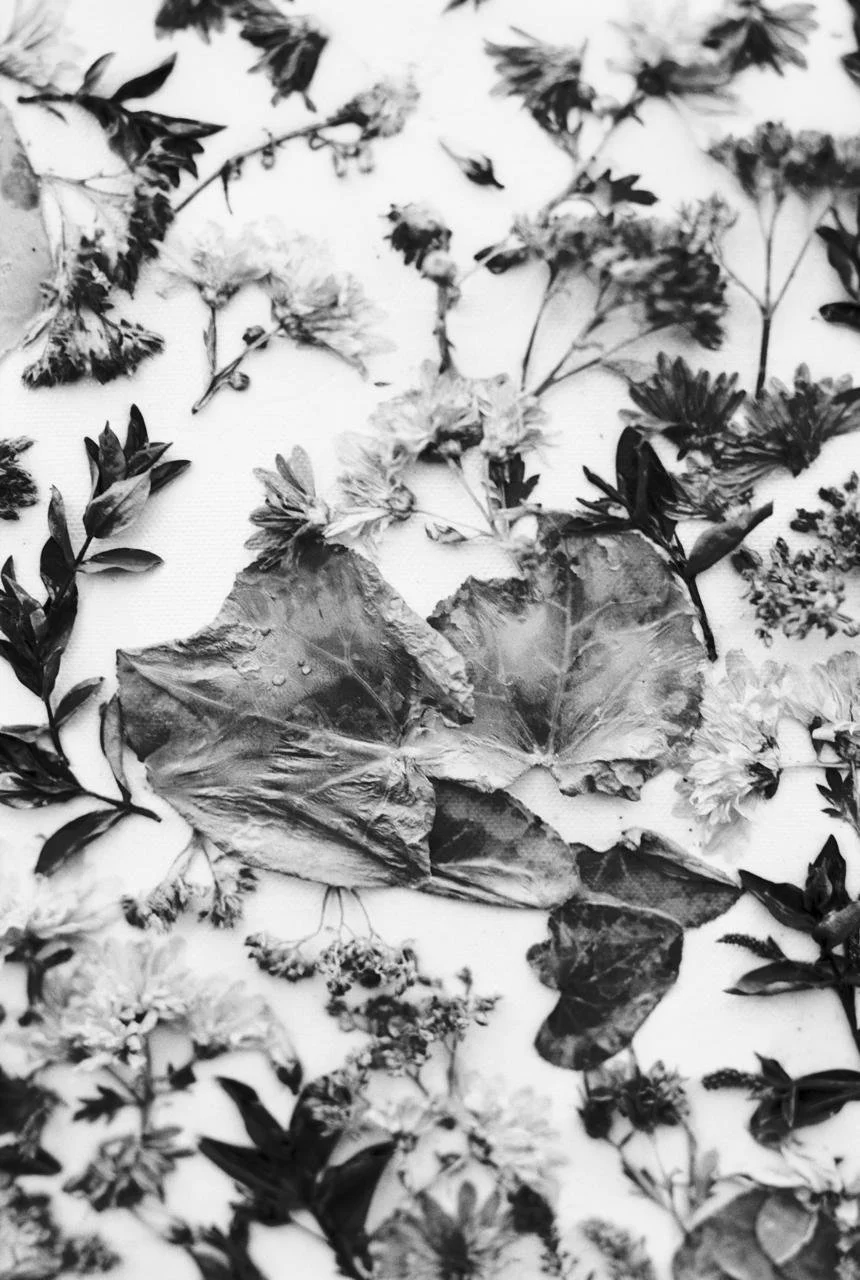 WhatsApp Image 2026-03-09 at 23.31.42.jpeg