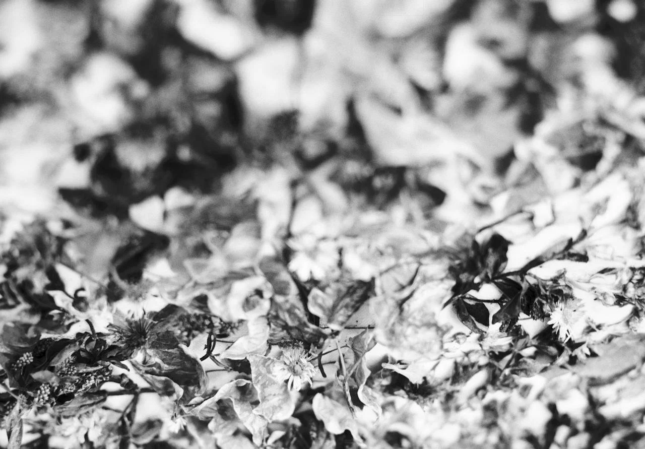 WhatsApp Image 2026-03-09 at 23.31.41.jpeg