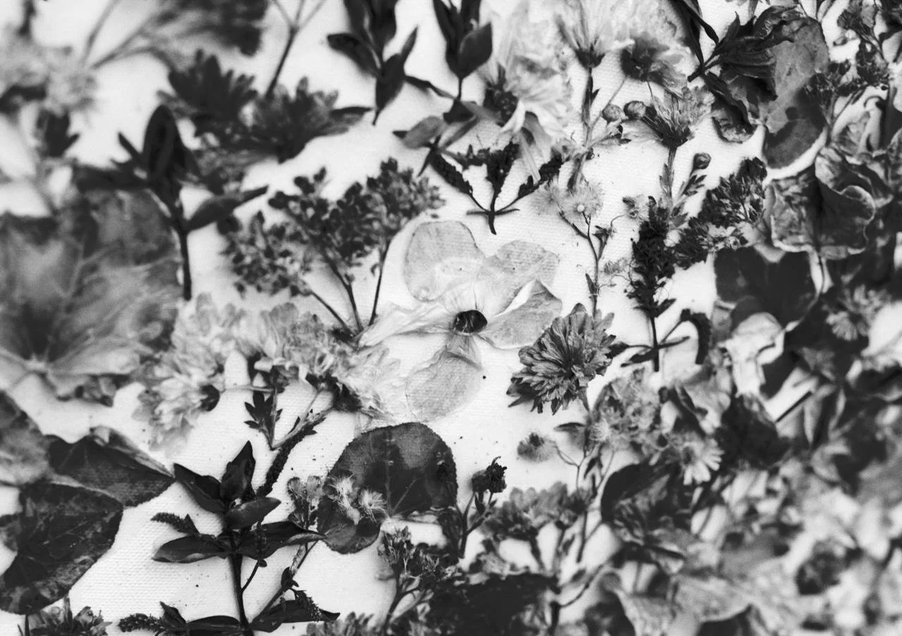 WhatsApp Image 2026-03-09 at 16.03.30.jpeg