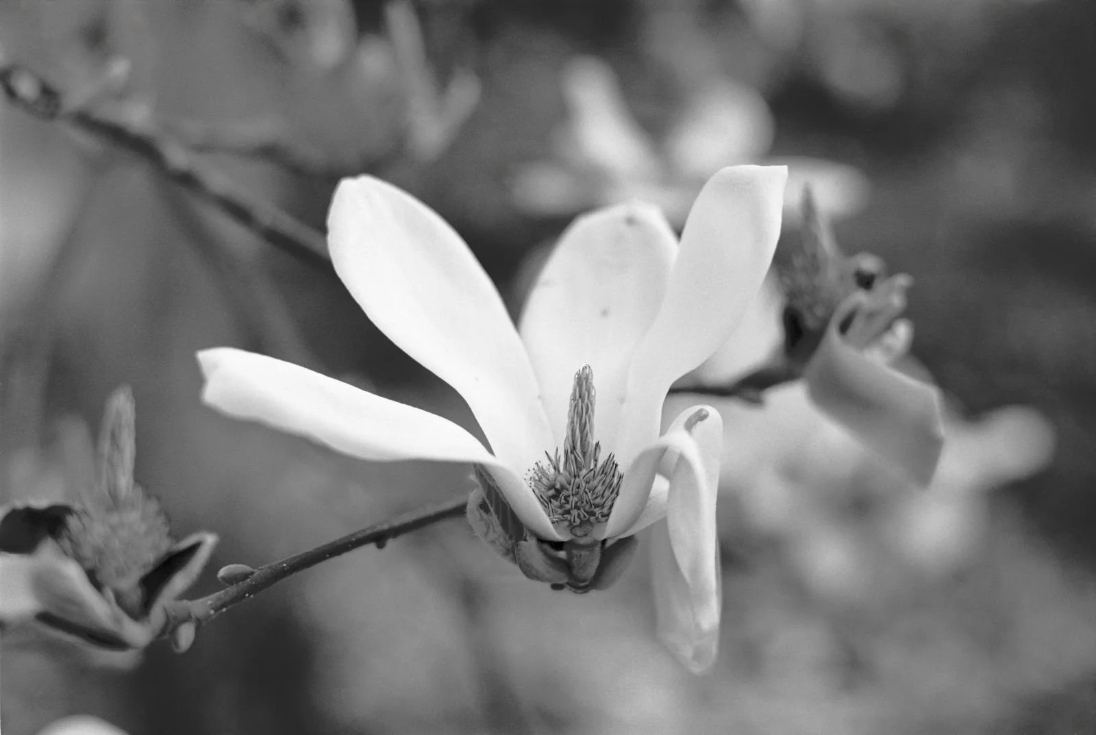 WhatsApp Image 2026-03-09 at 23.32.24.jpeg