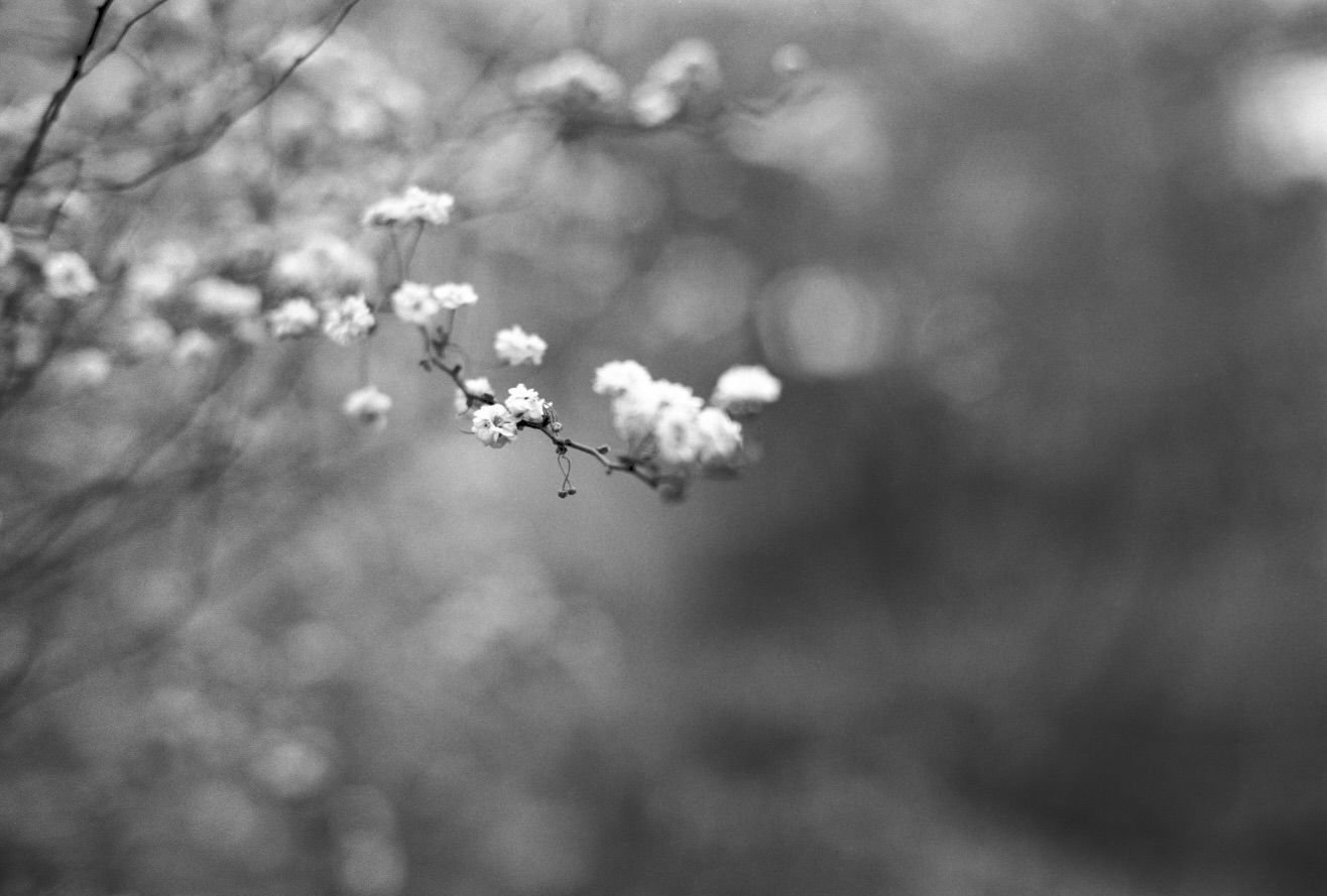 WhatsApp Image 2026-03-09 at 23.32.24.jpeg