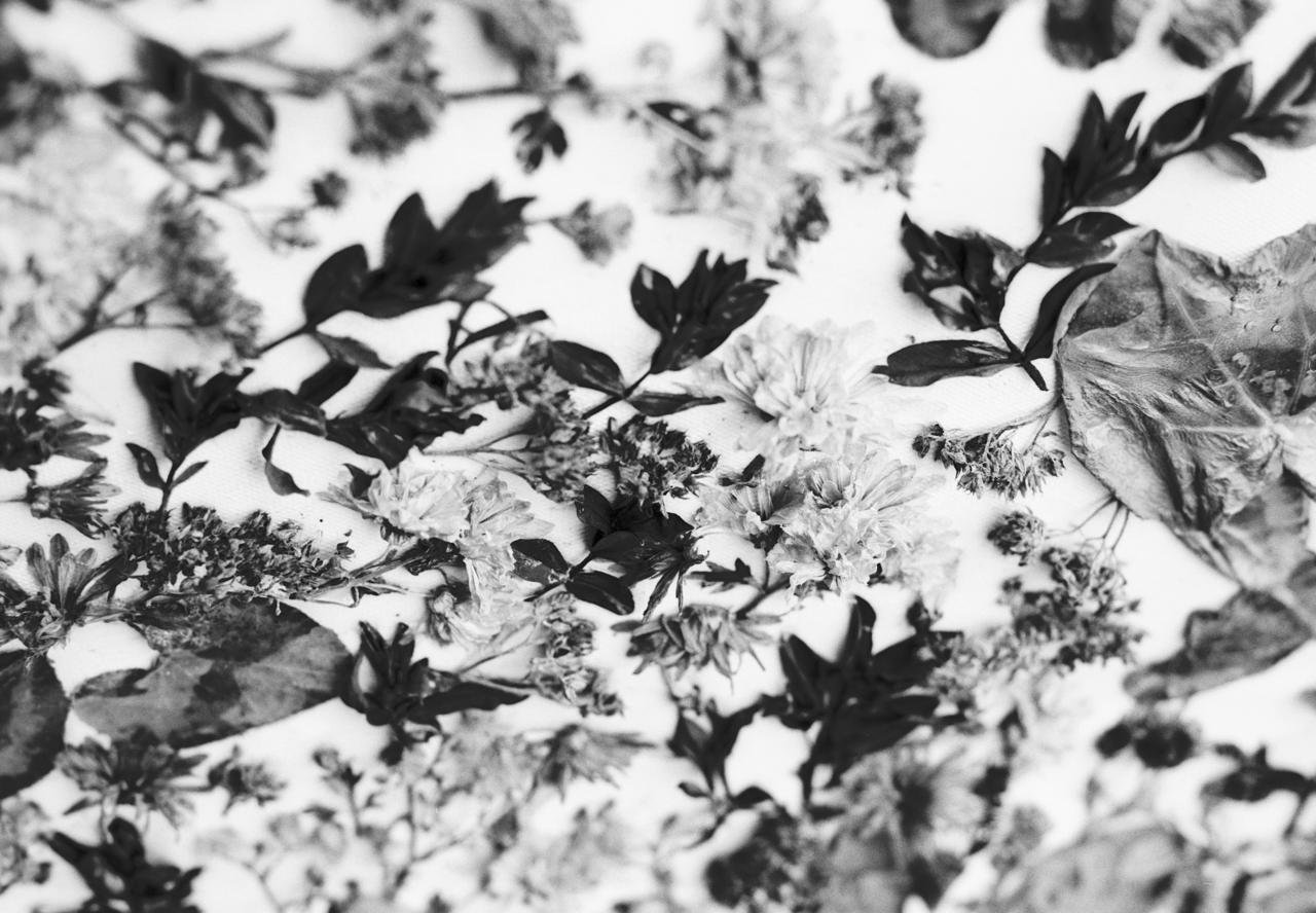 WhatsApp Image 2026-03-09 at 23.31.41.jpeg