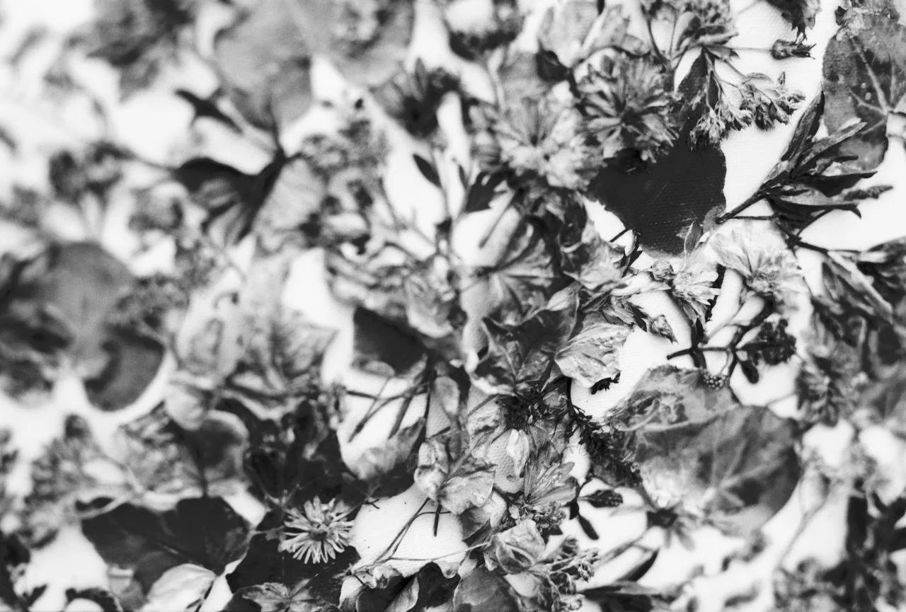 WhatsApp Image 2026-03-09 at 23.31.42.jpeg