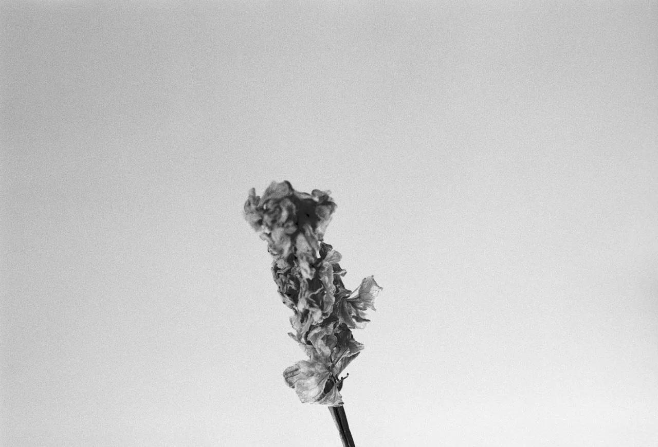 "It's No Longer About The Flower"