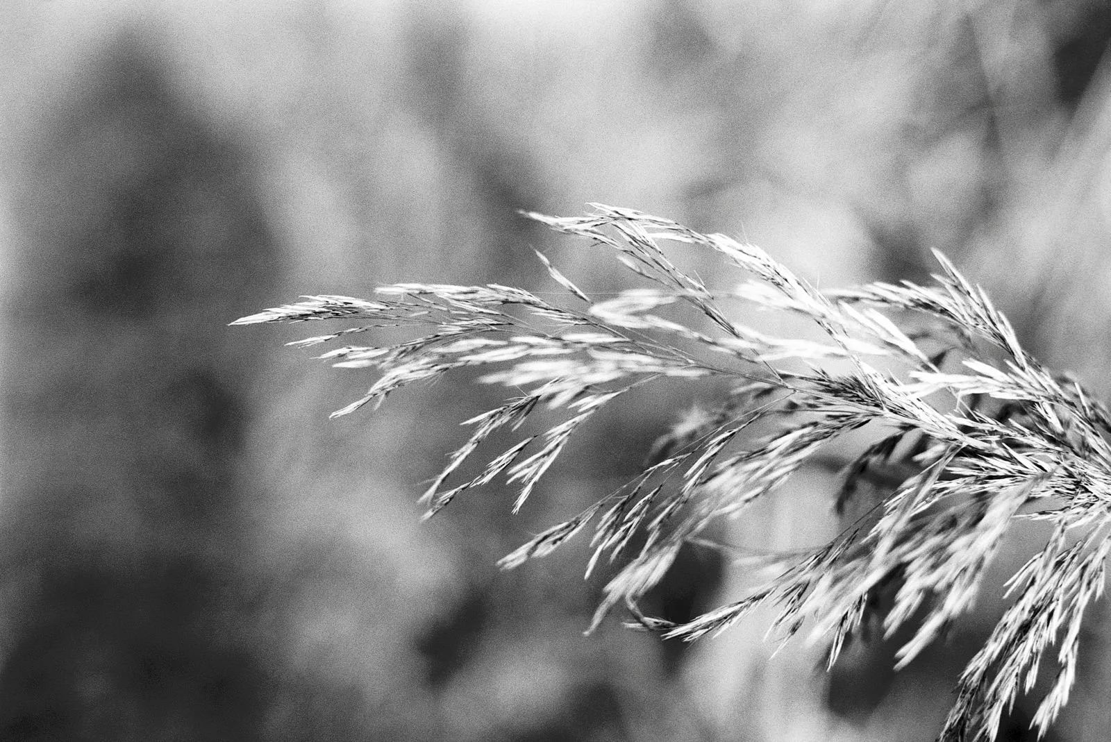 WhatsApp Image 2026-03-09 at 23.32.24.jpeg