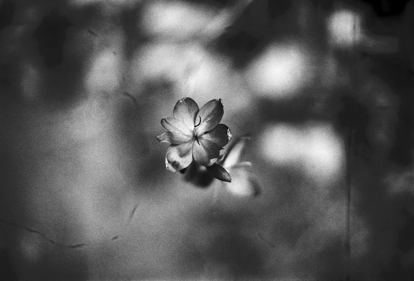 WhatsApp Image 2026-03-09 at 23.32.04.jpeg