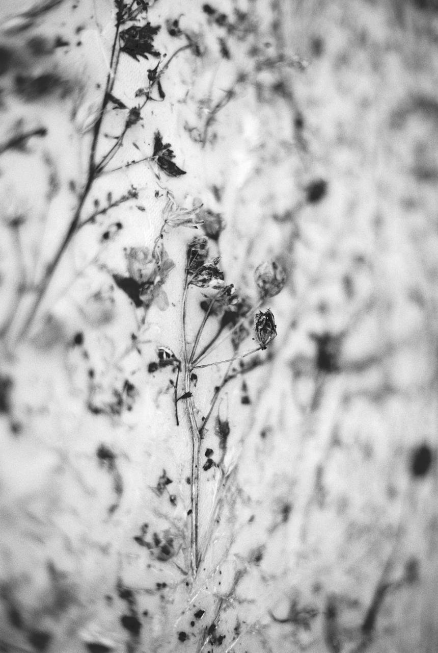 WhatsApp Image 2026-03-09 at 23.31.42.jpeg