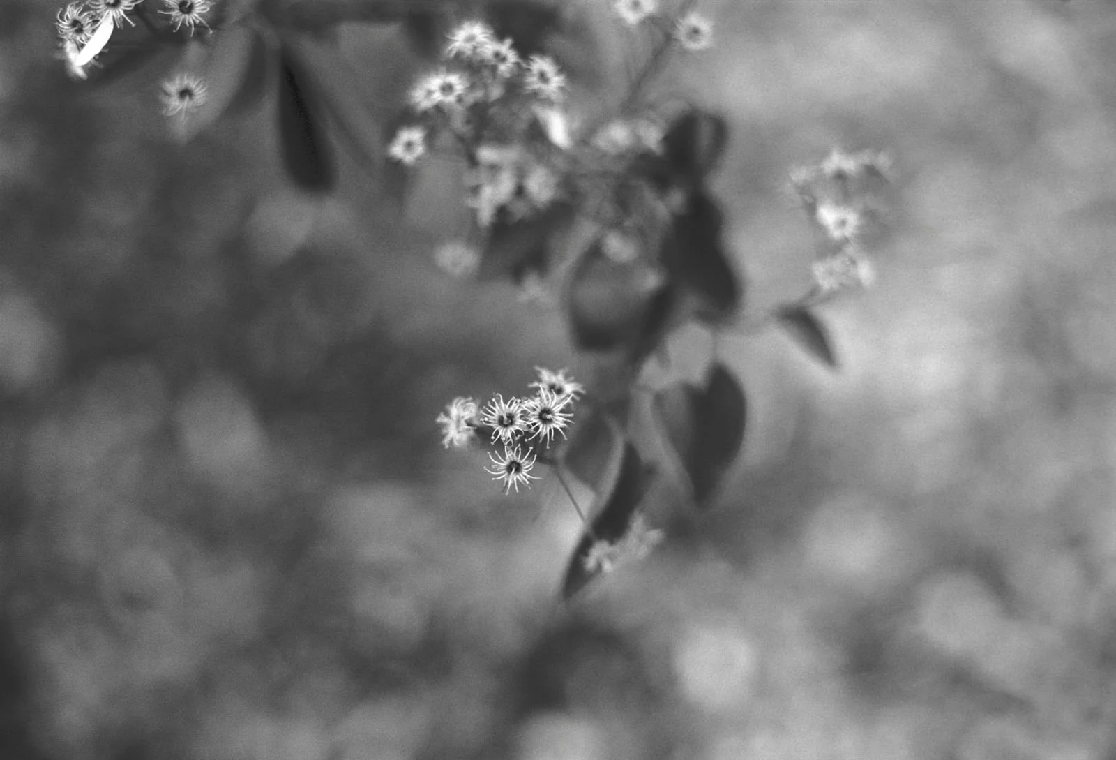 WhatsApp Image 2026-03-09 at 23.32.24.jpeg