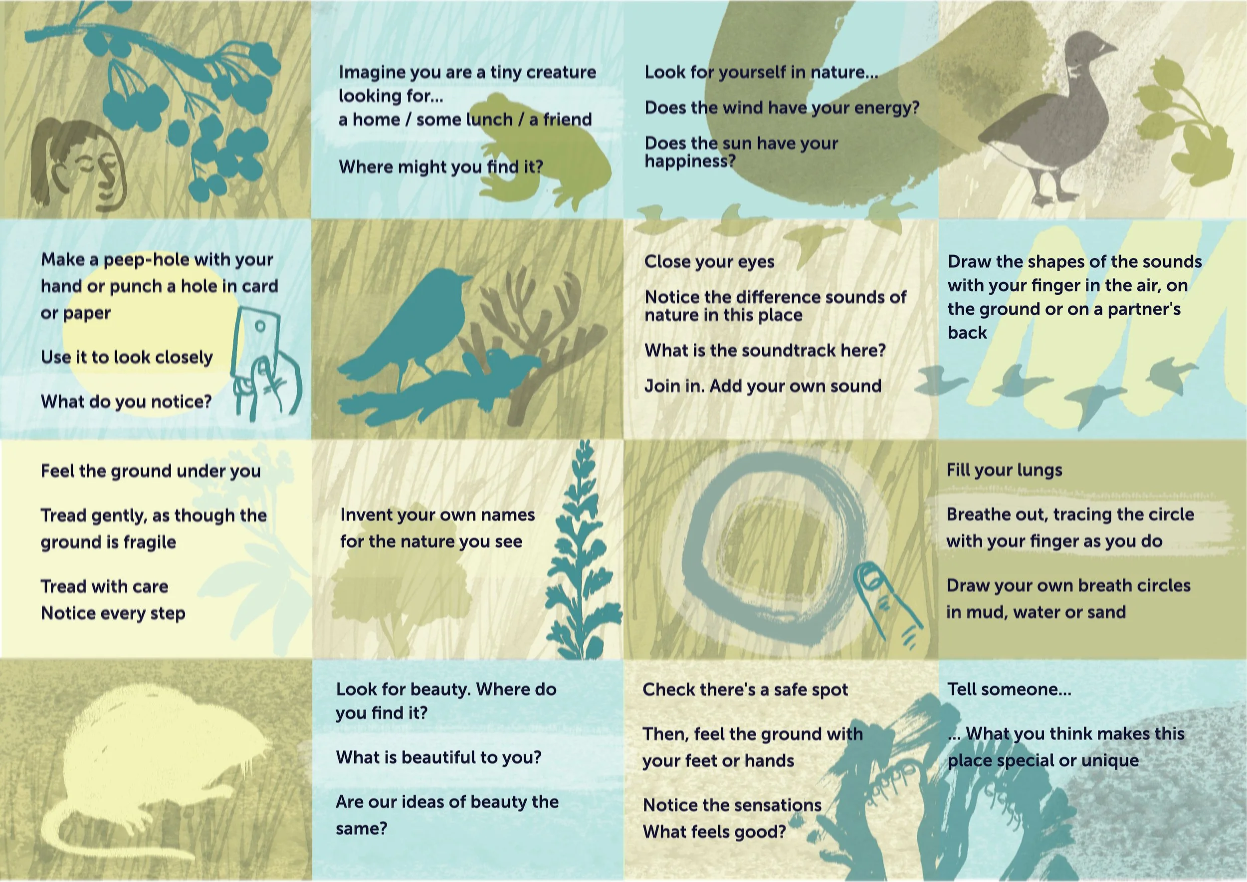 'We Can At The Coast' nature connection activity resource for Natural England, 2023