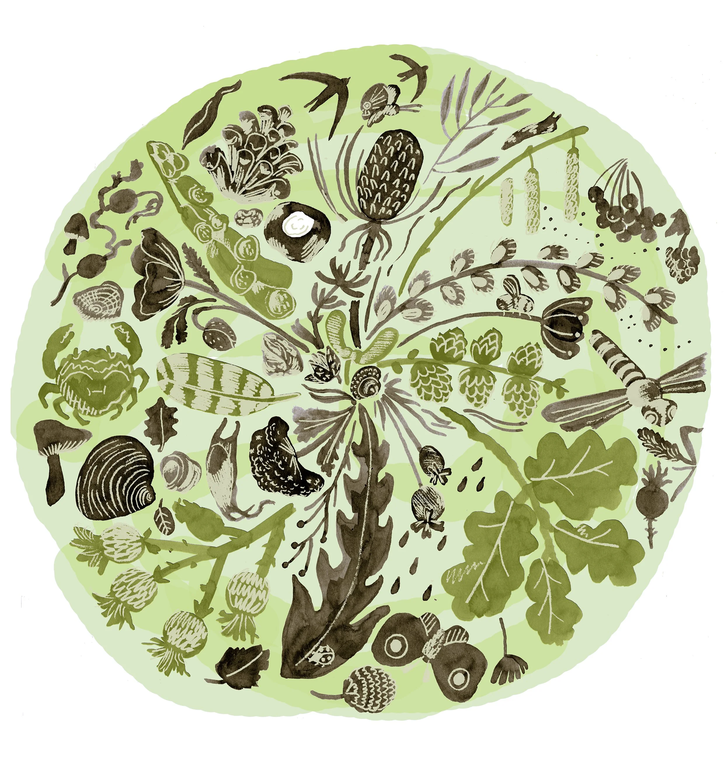 'Green Time not Screen time' series, 2019