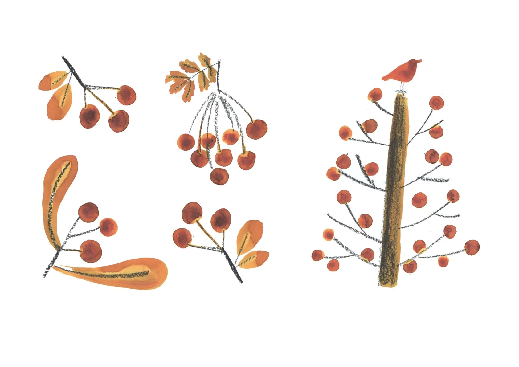 Autumn Berries, greetings designs, 2020