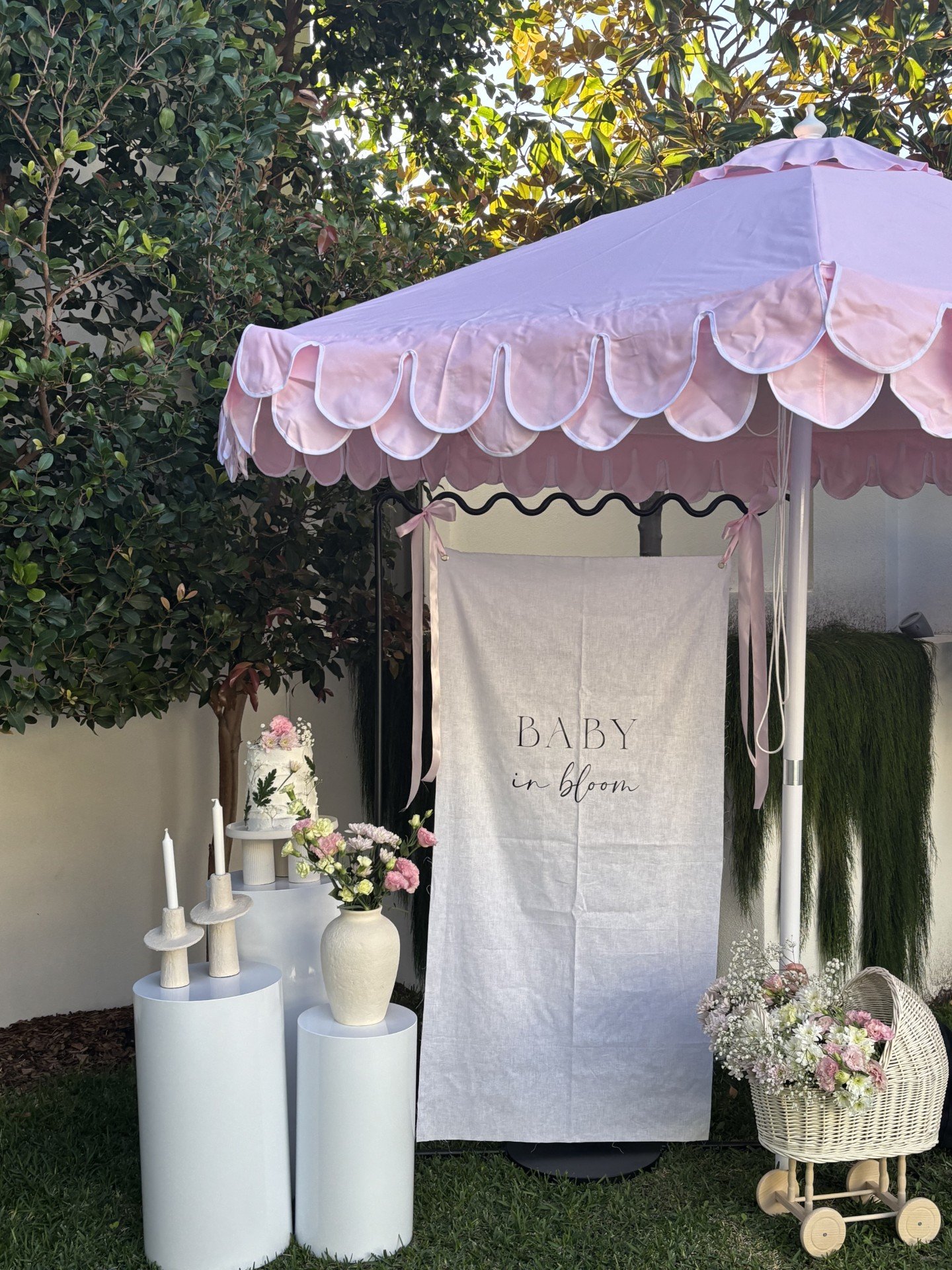 Whole Baby Setup w Umbrella.jpeg