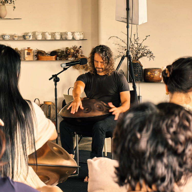 handpan sound training handpan training singapore somatic singapore