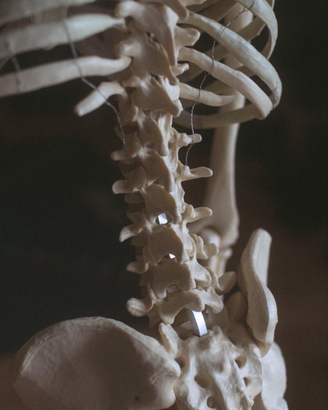 Corporate Wellness Workshop Facilitator leading a chronic pain corporate wellness program for workplace wellbeing