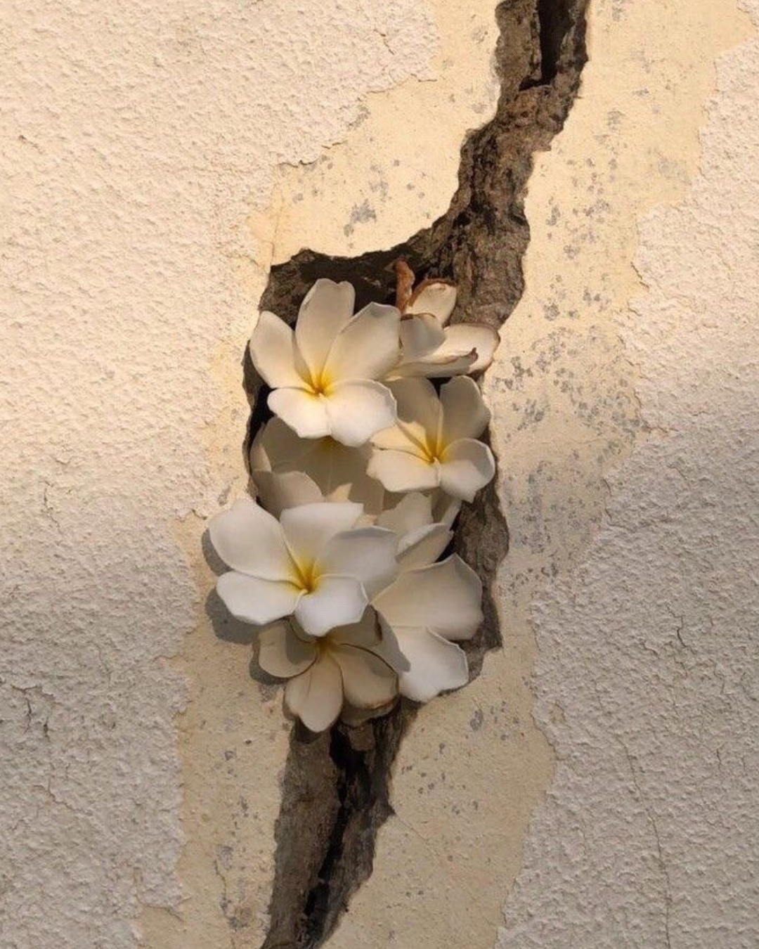 Corporate wellness program teaching self-compassion and mindful leadership skills