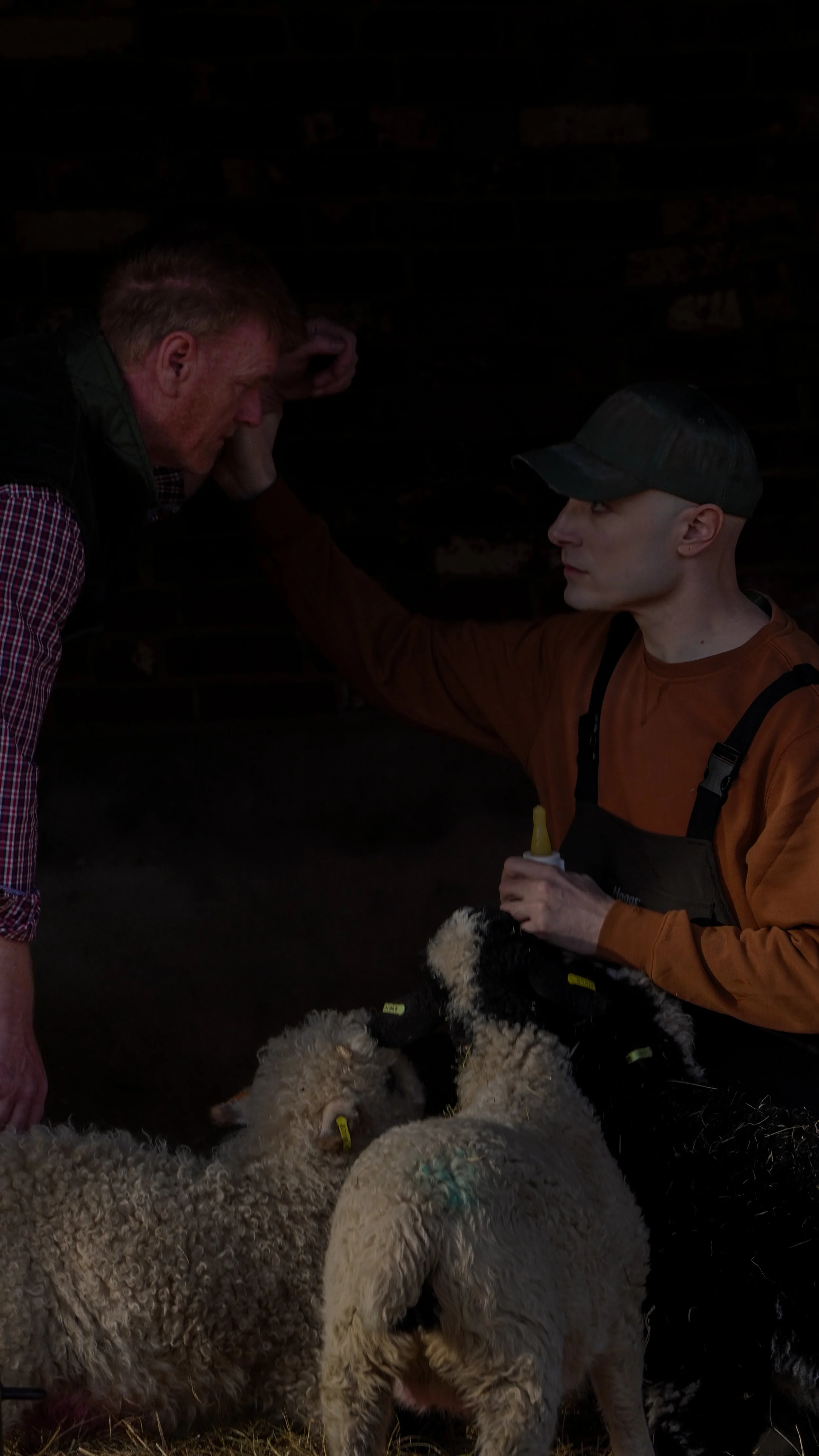 A man with short hair and a baseball cap, dressed in orange, is holding sheep by their wool, with his hand on their heads, standing next to a man with short red hair wearing a checkered shirt and a black vest. The scene appears to be indoors with darkness in the background, and the sheep have tags on their ears.