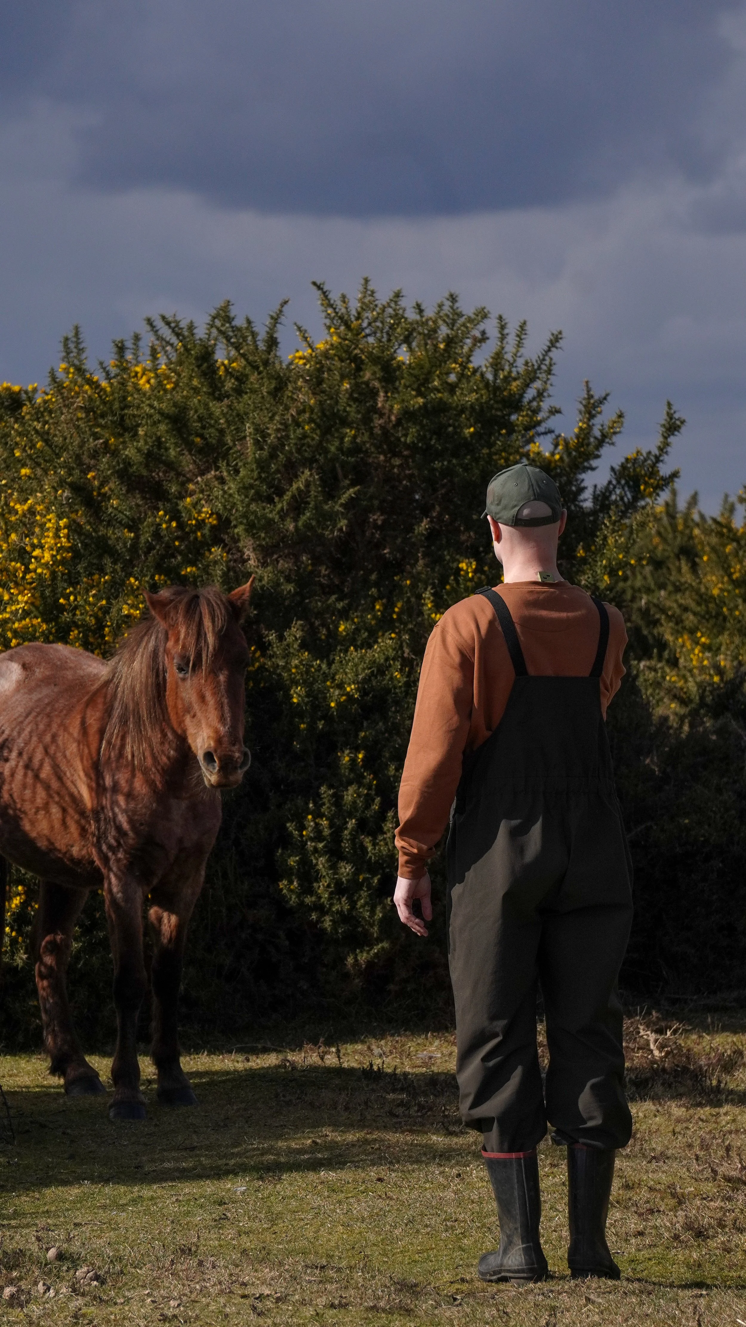 A person in a brown shirt, black overalls, and black rubber boots facing a brown horse outdoors near bushes with yellow flowers and a cloudy sky.