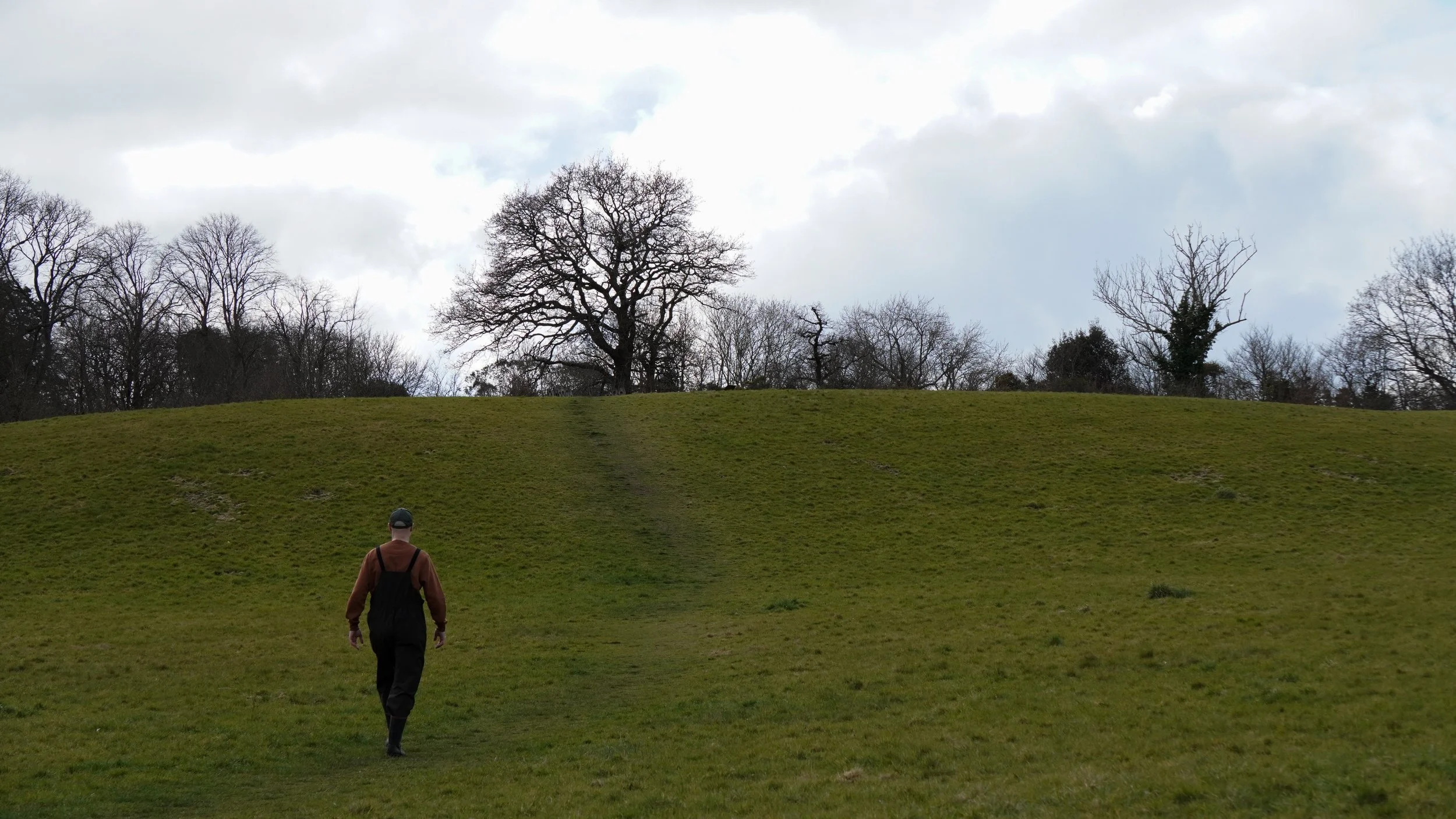 A person walking on a grassy hill with a dirt path, bare trees in the background, and cloudy sky.