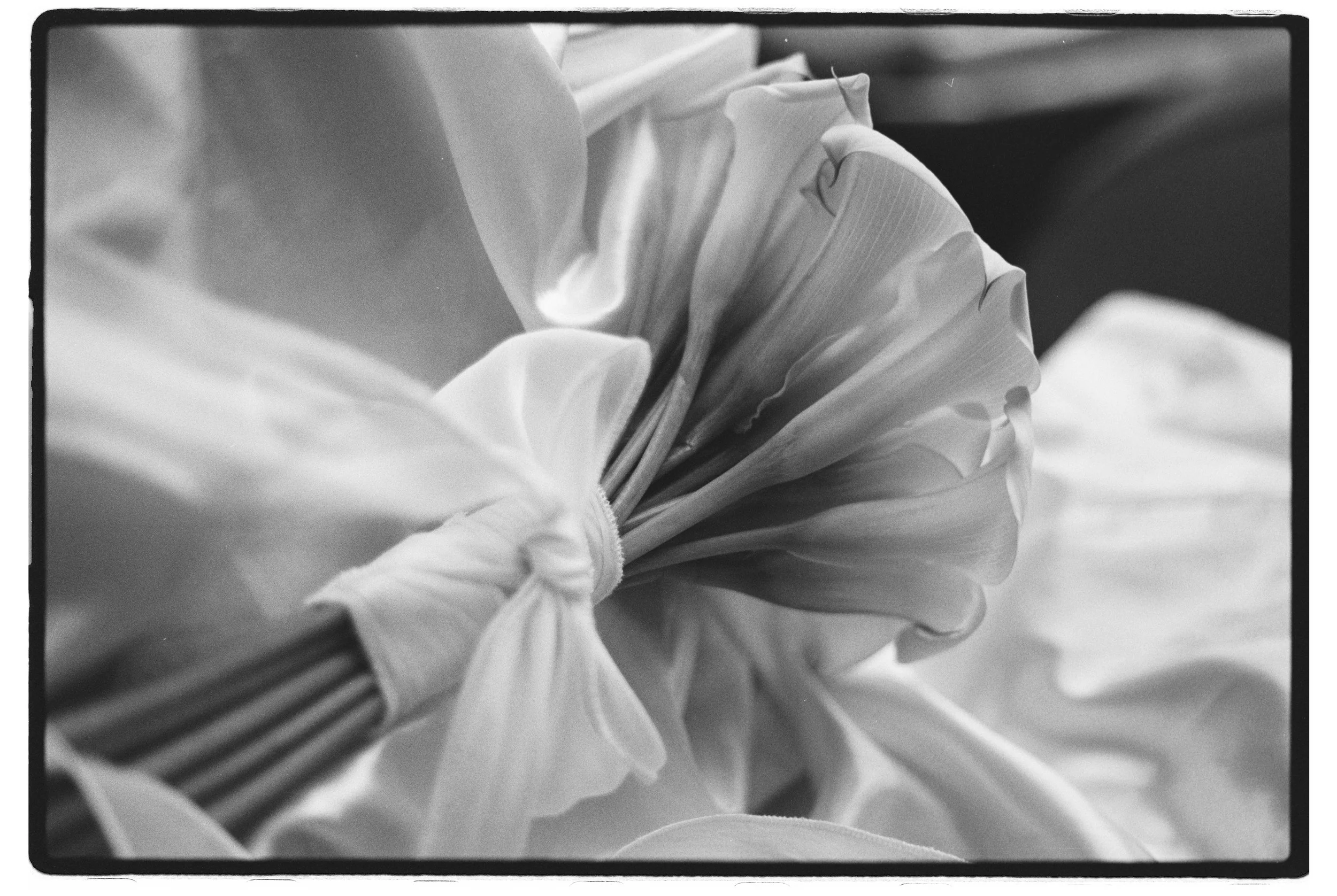 000029(7)(1).JPG