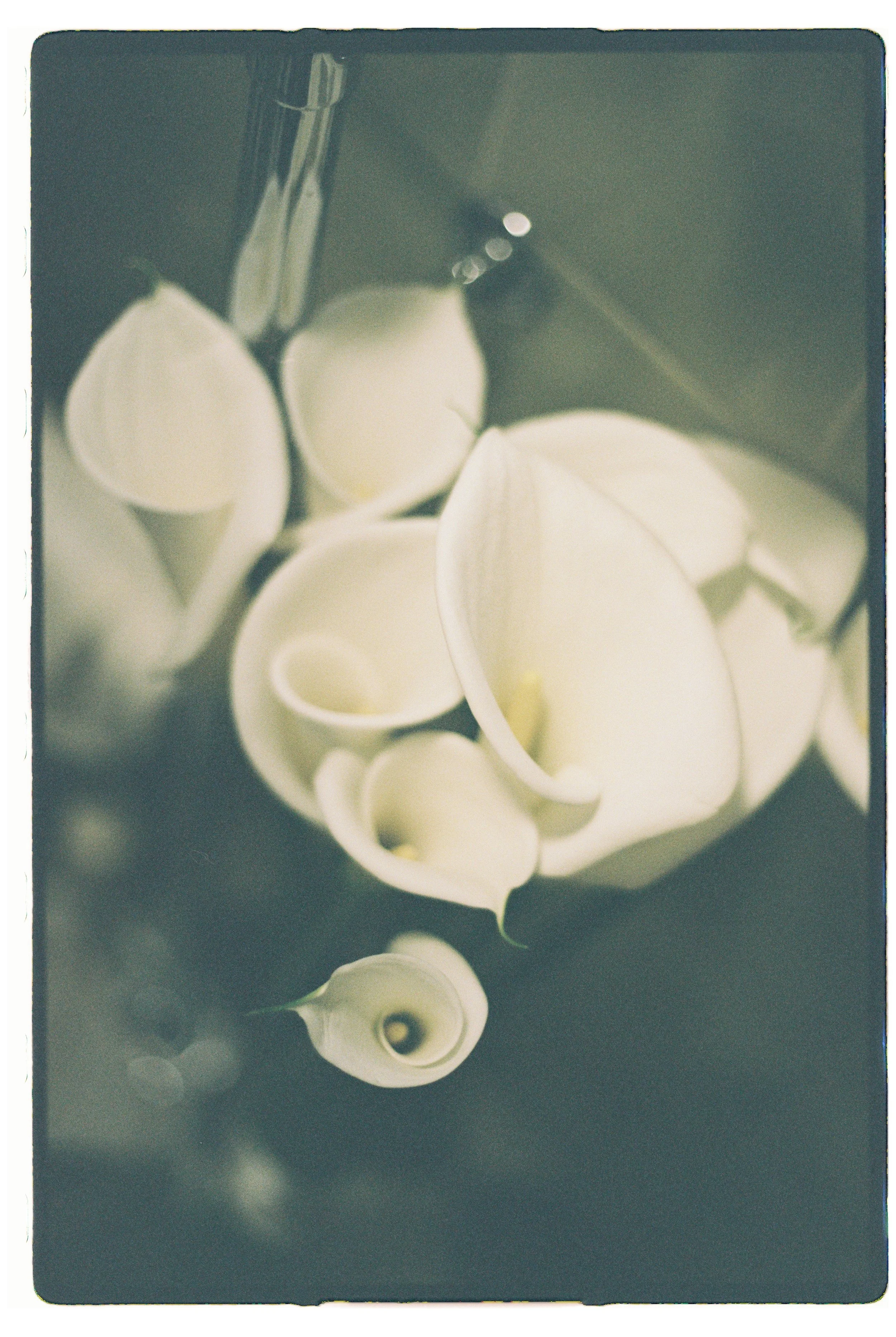 Untitled-110.jpg