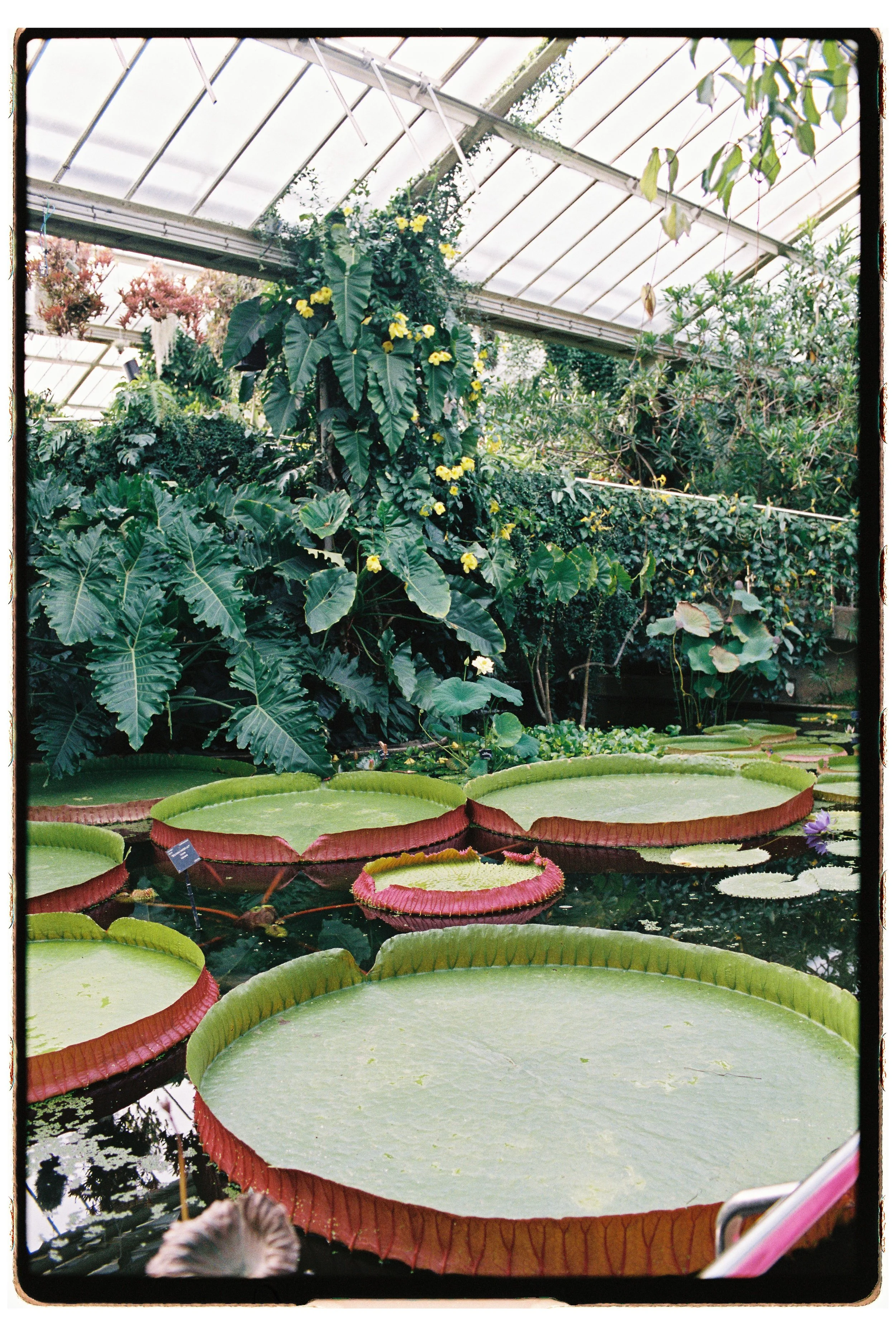000011-7.jpg