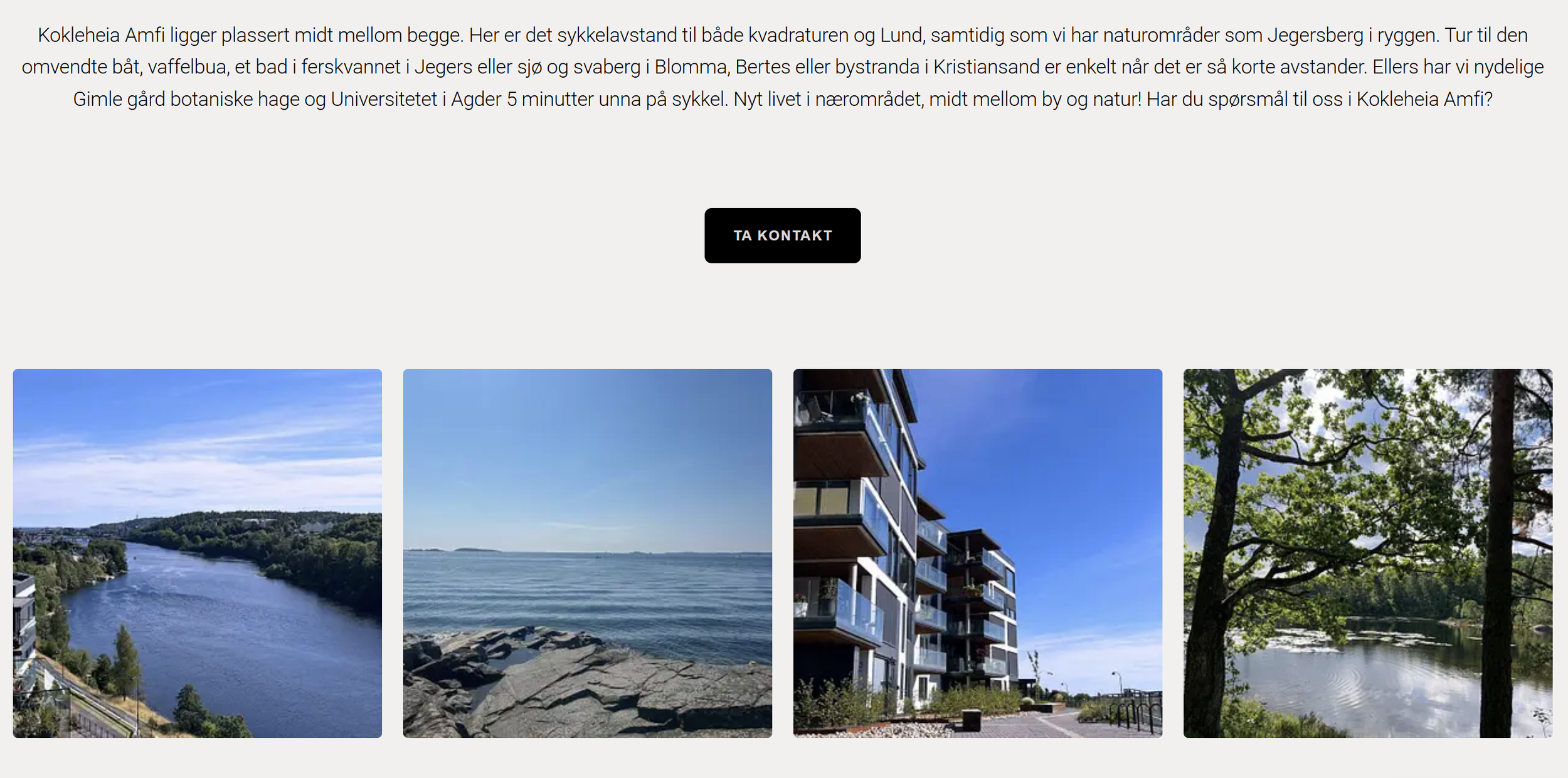 skjermbilde av kokleheia amfi nettside