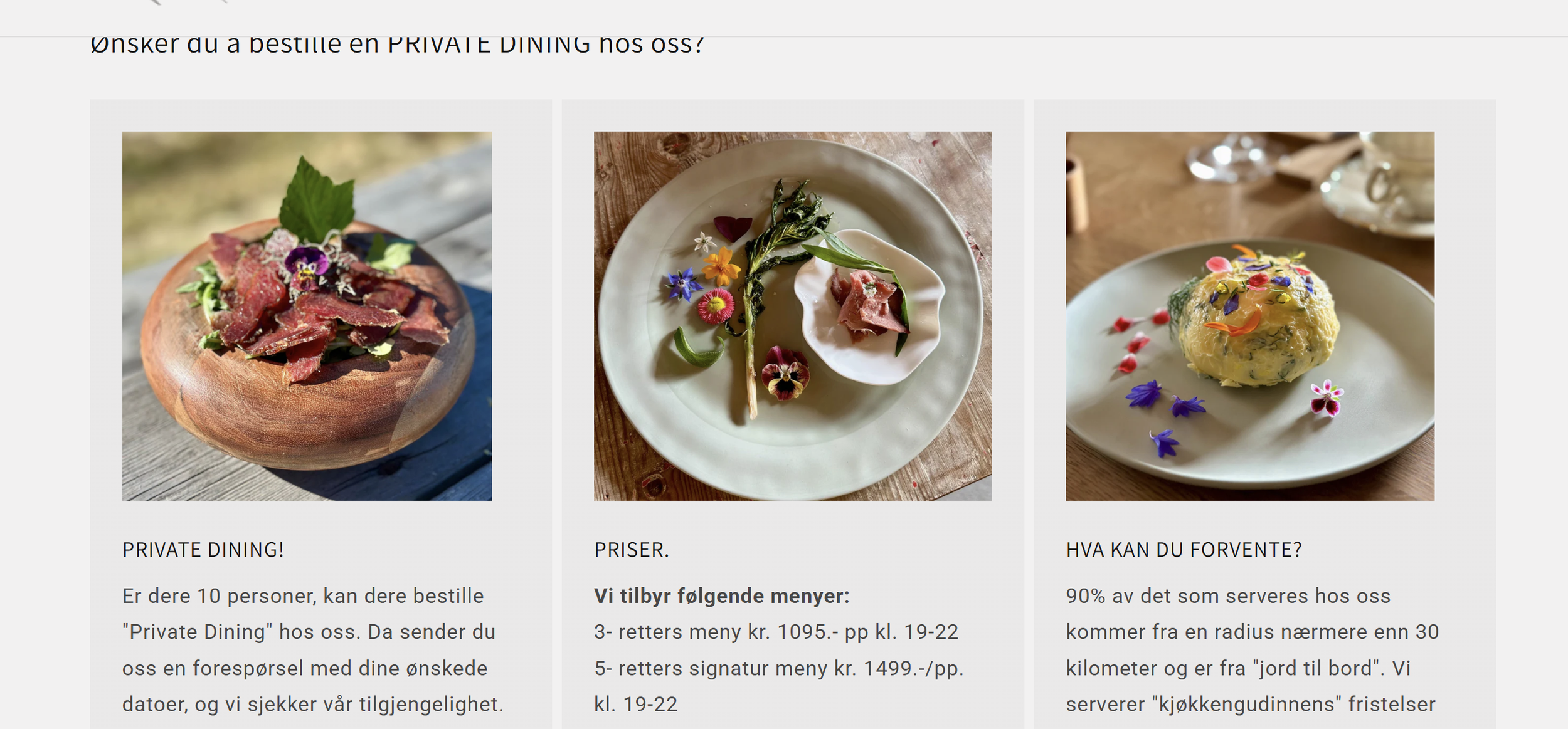 Bilde av nettsiden til Brokkestøylen i setesdal  av nydelig mat som serveres til gjester