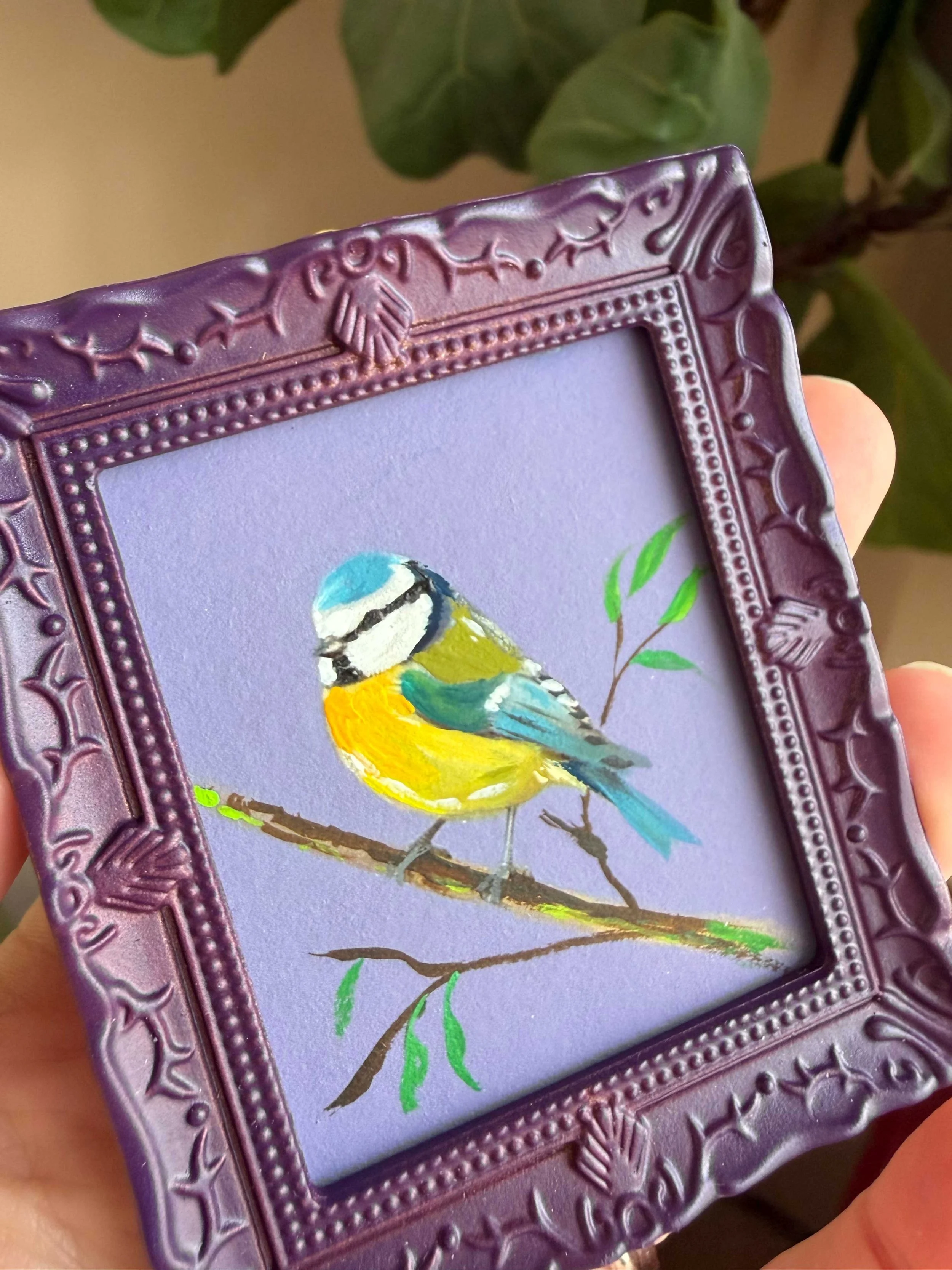bluetit2.jpg