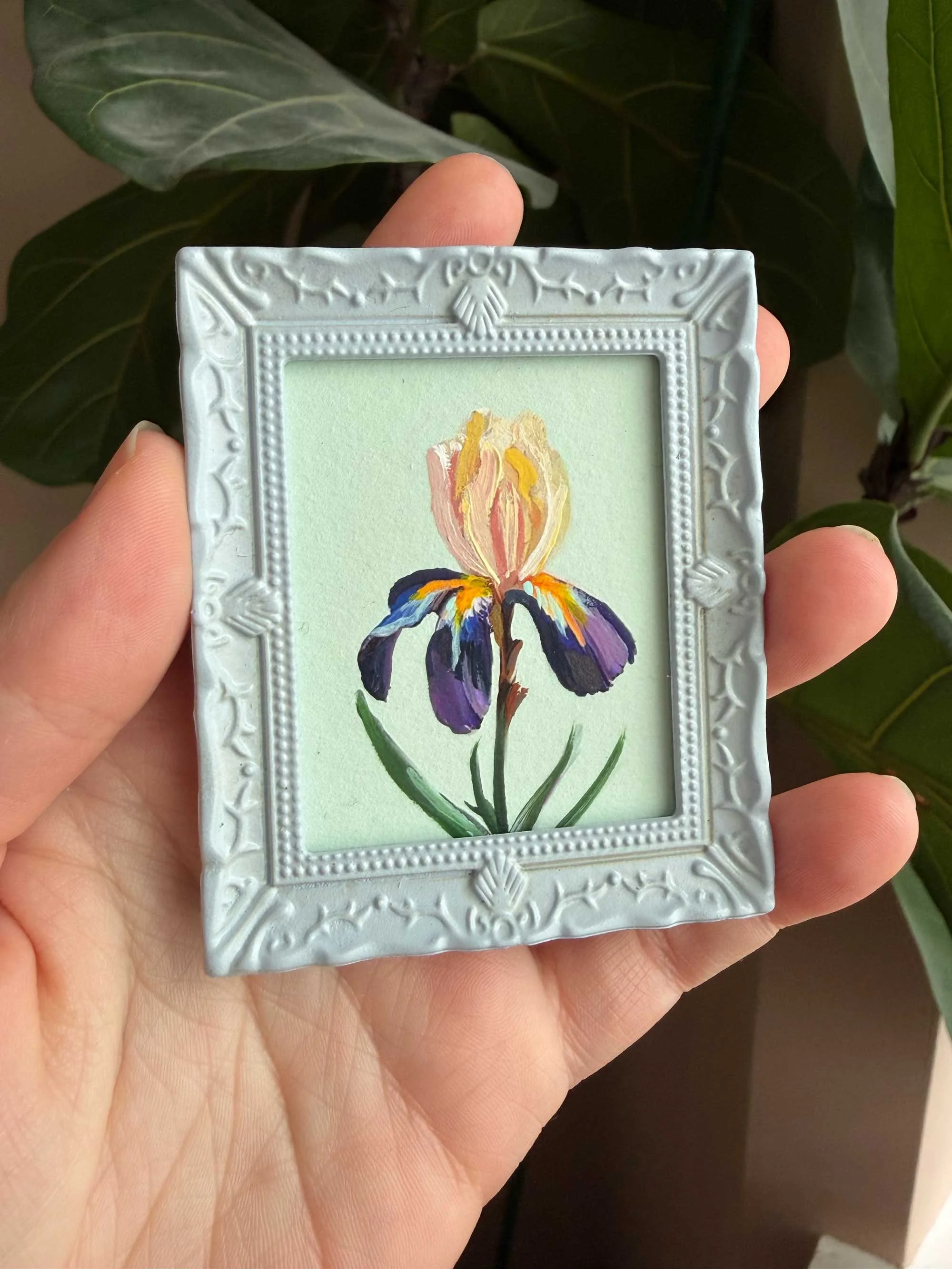 Iris Miniature Painting