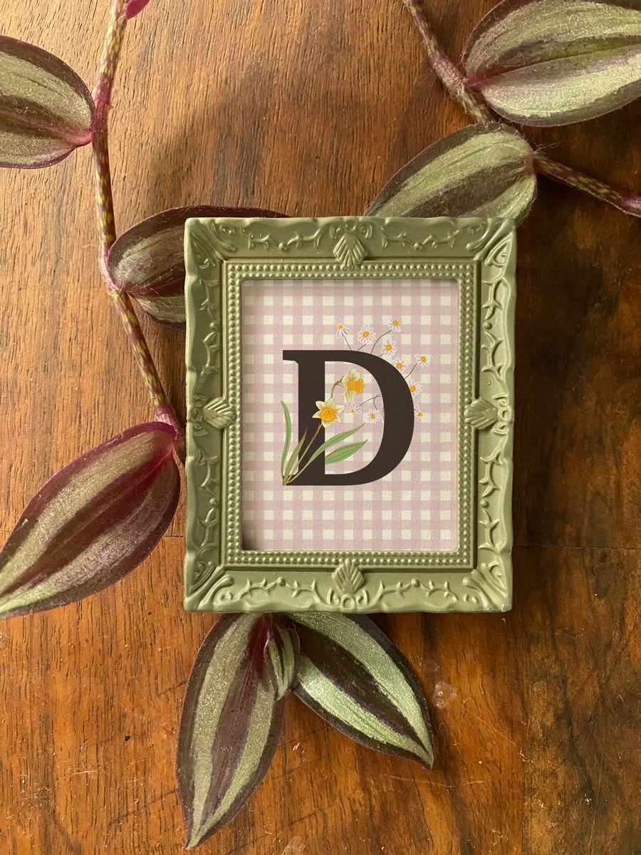 Green Frame with Pink Gingham