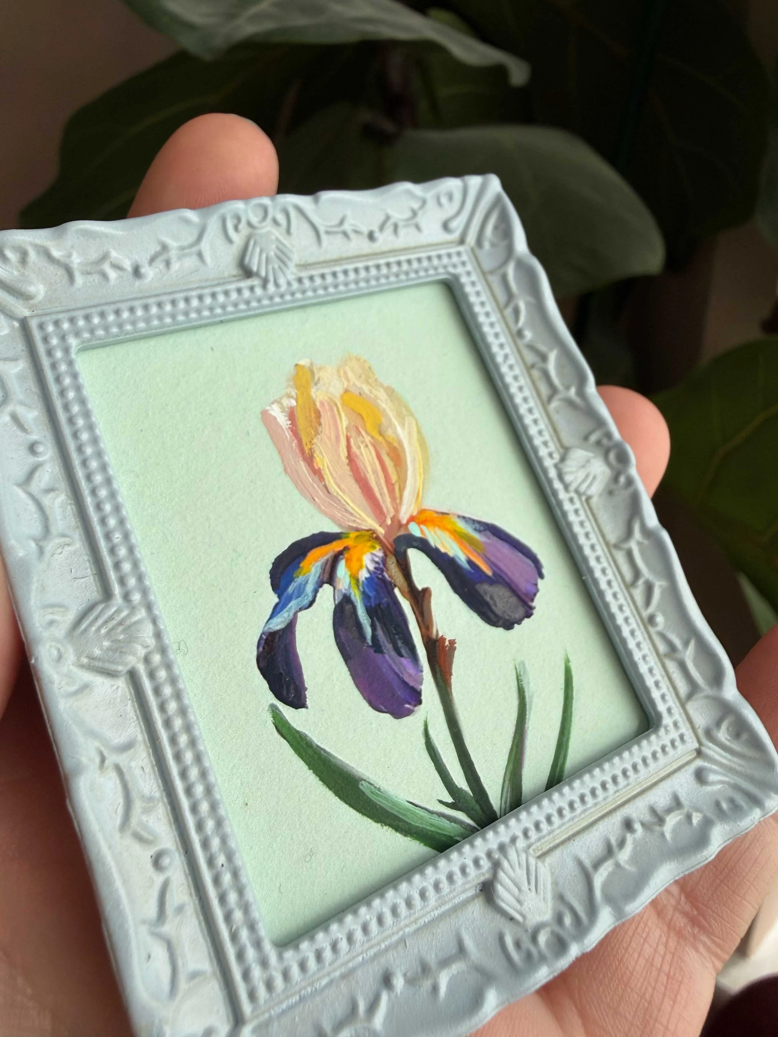 iris1.jpg