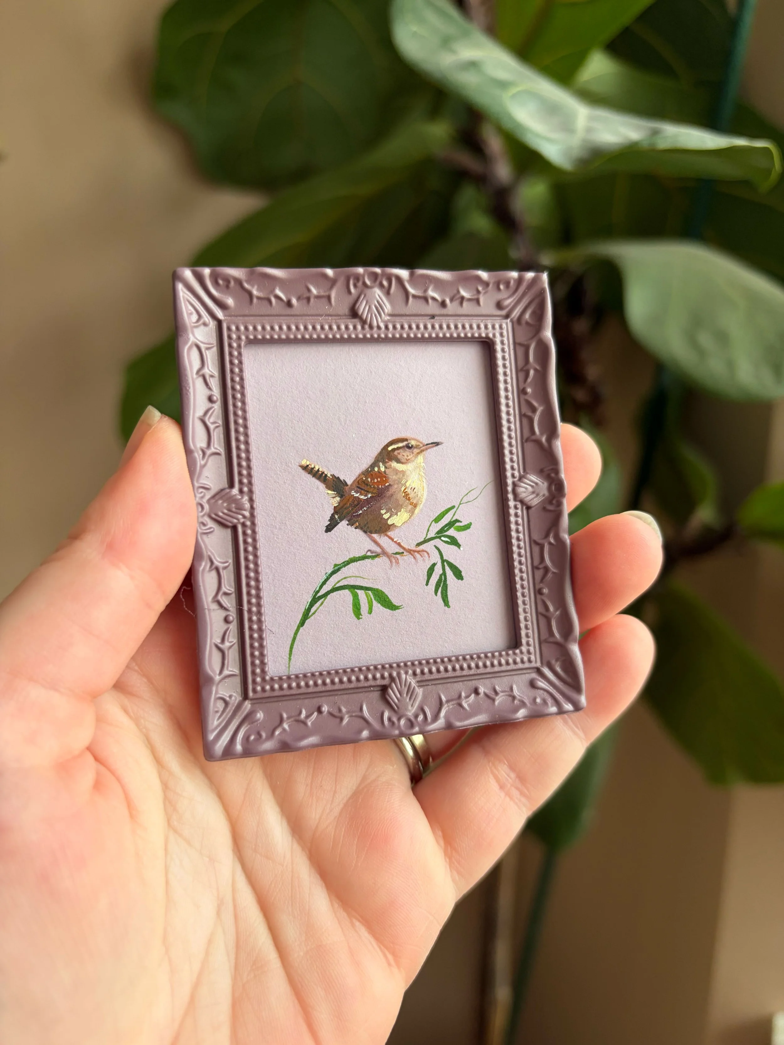 Wren Bird Miniature Painting