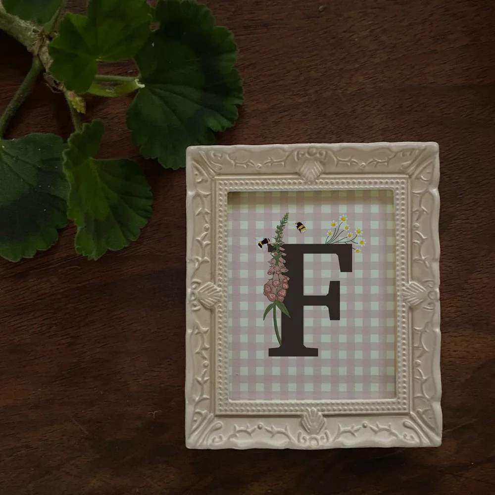 Ivory Frame with Pink Gingham
