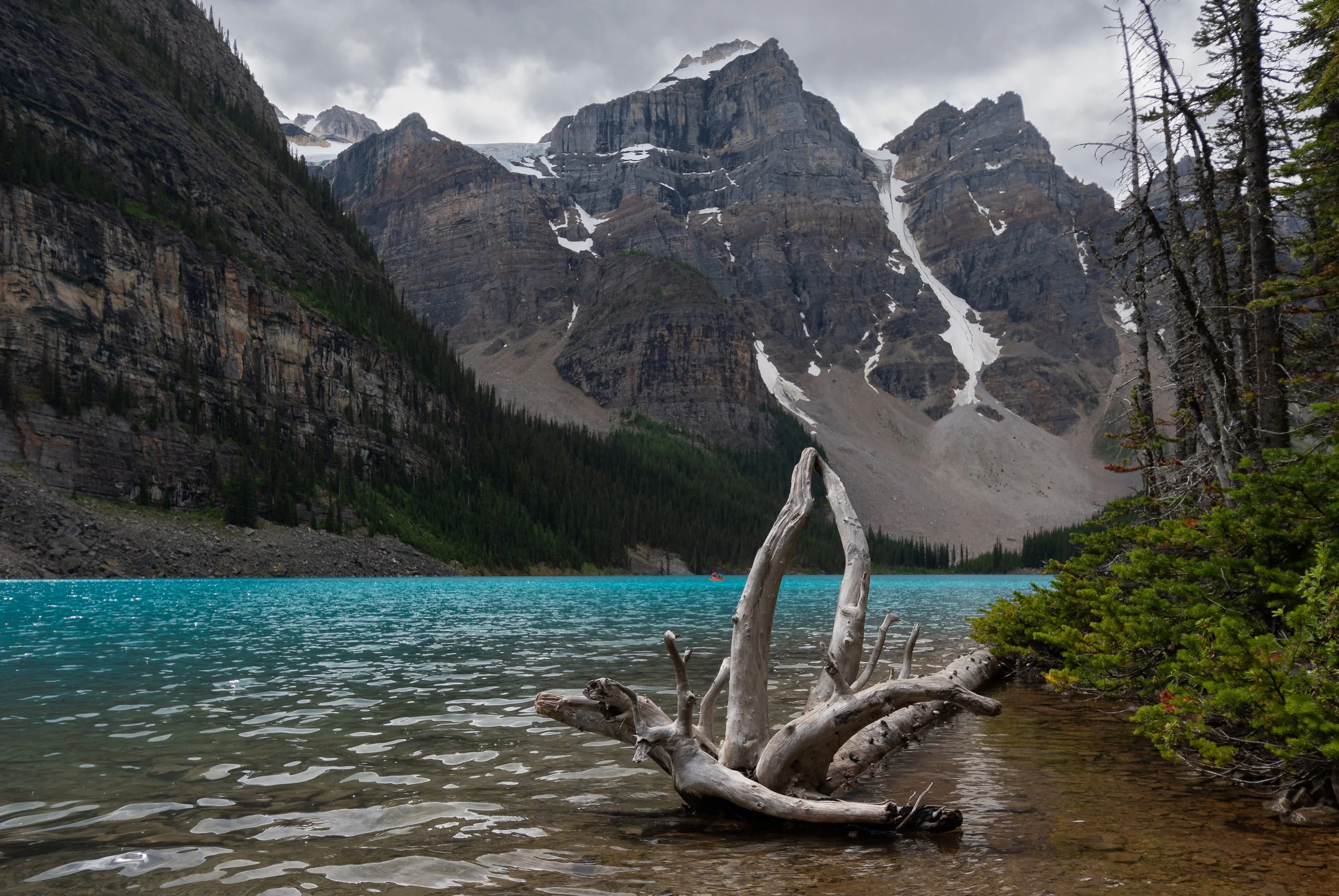 DSC_2392.jpg