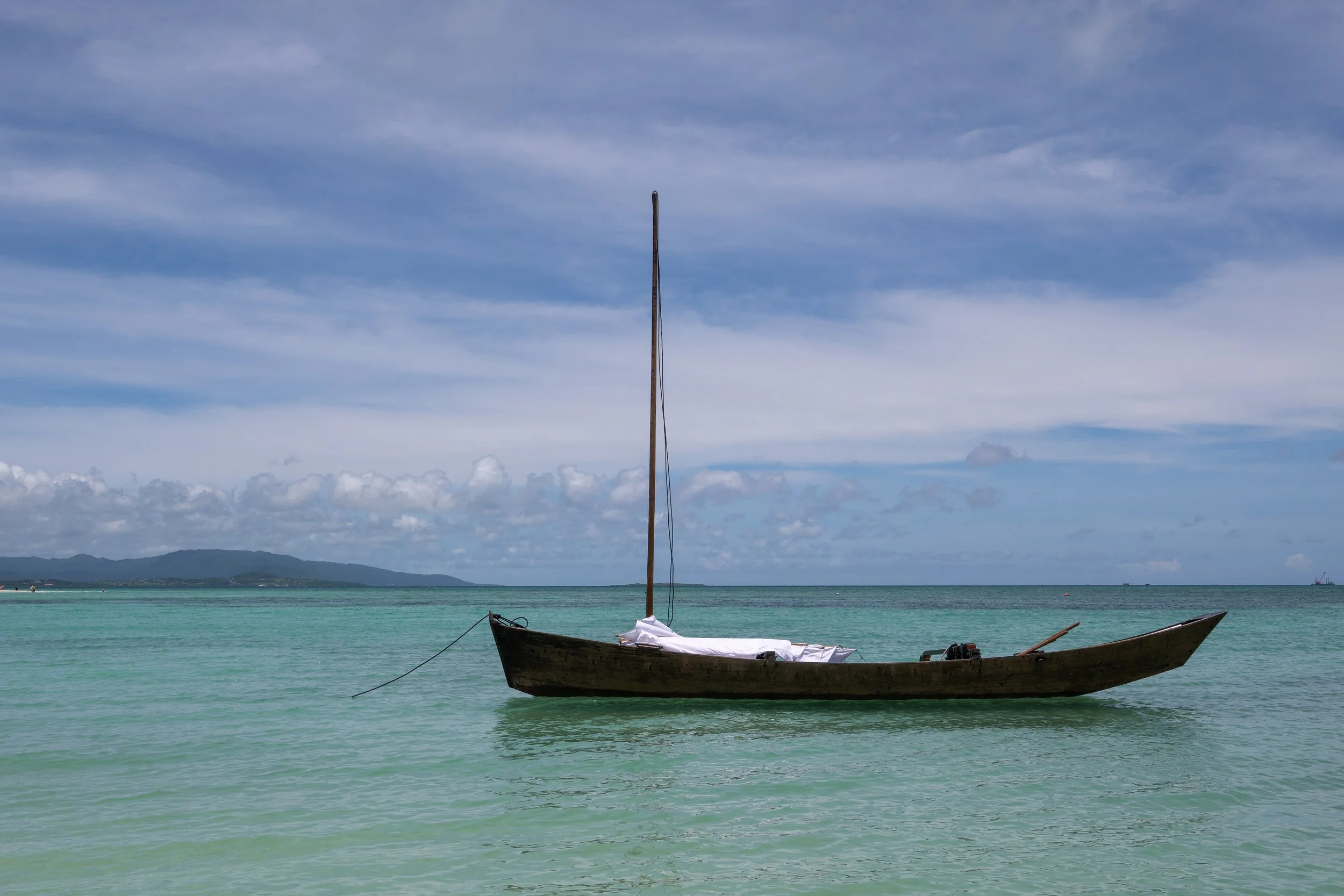 DSC_2252.jpg
