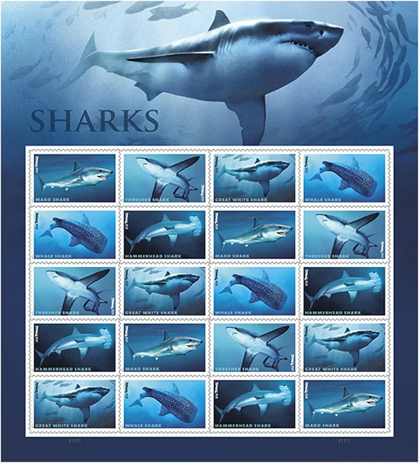 Sharks Ecotourism Conservation Preservation Ecology Nature Forever Stamps